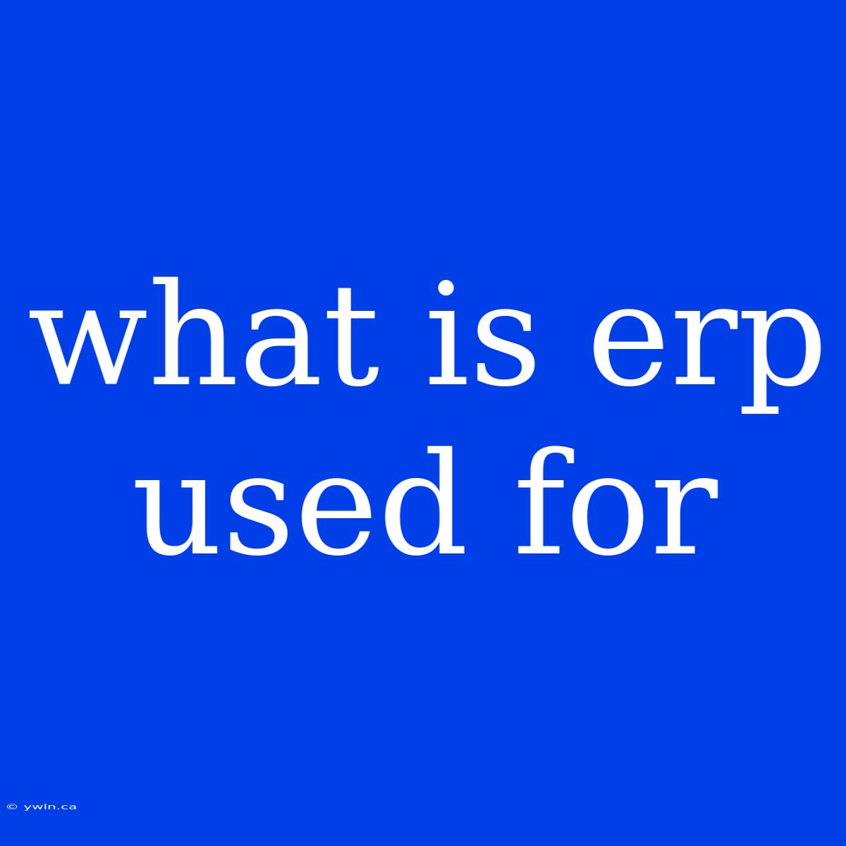 What Is Erp Used For