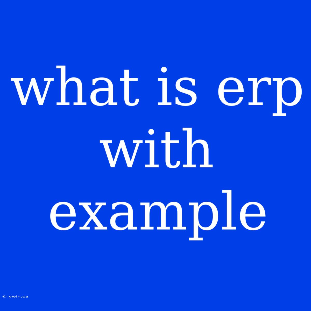 What Is Erp With Example