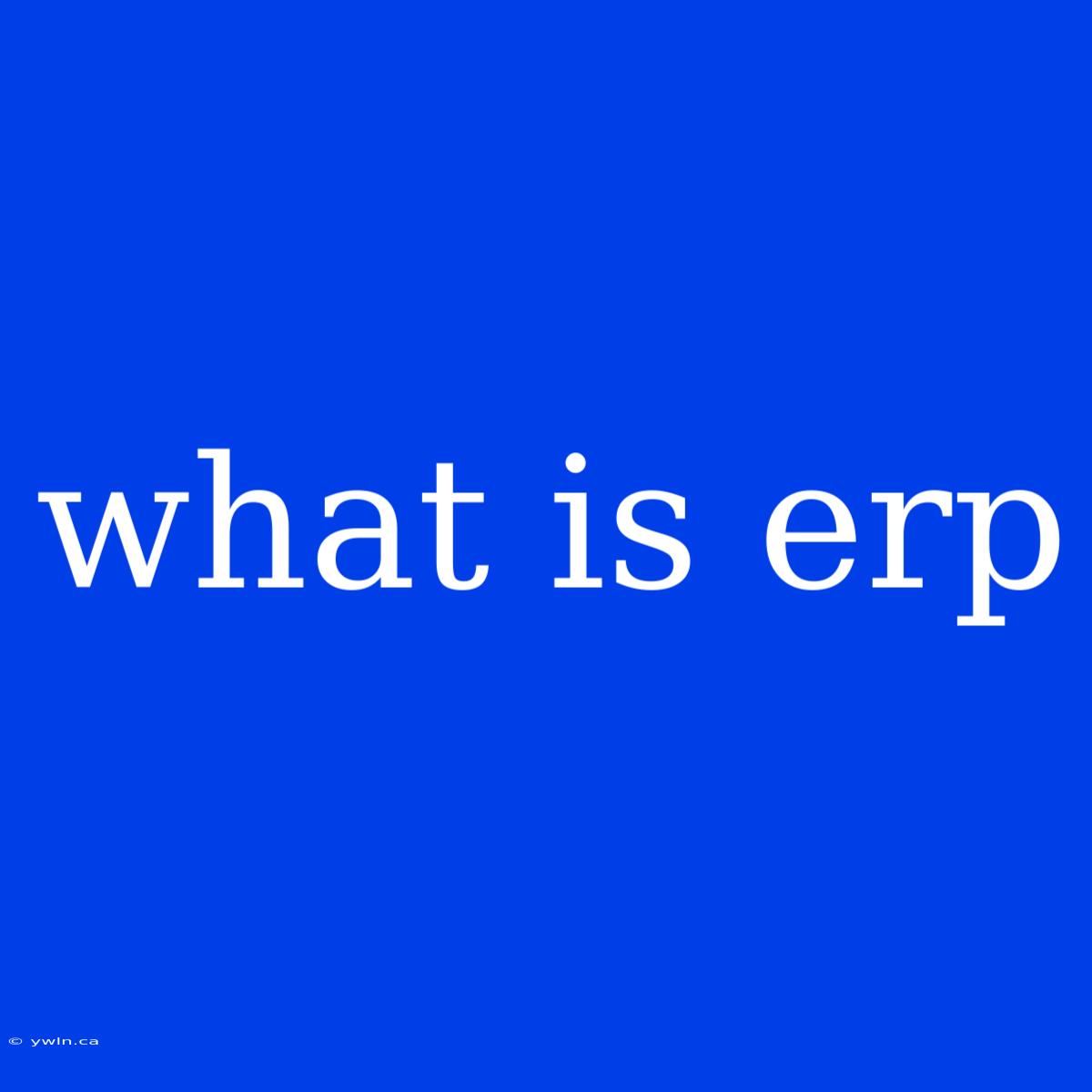 What Is Erp