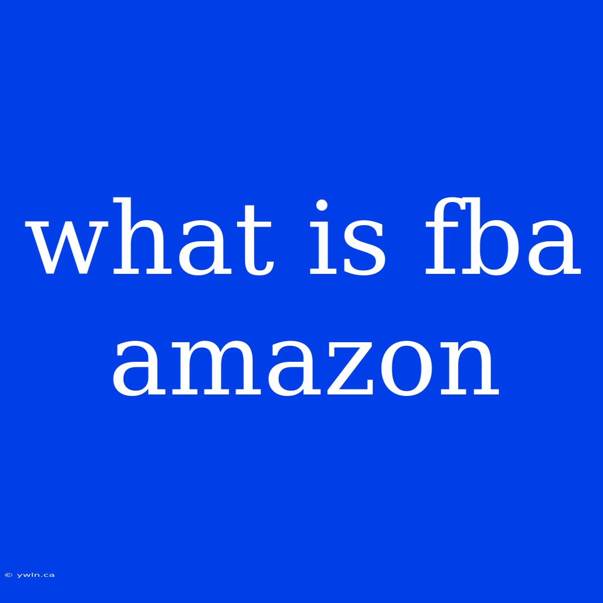 What Is Fba Amazon