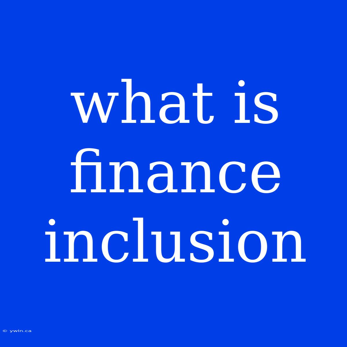 What Is Finance Inclusion