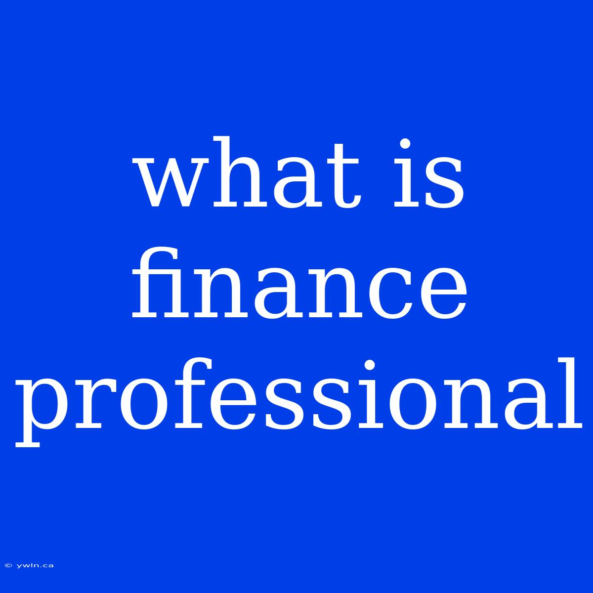 What Is Finance Professional