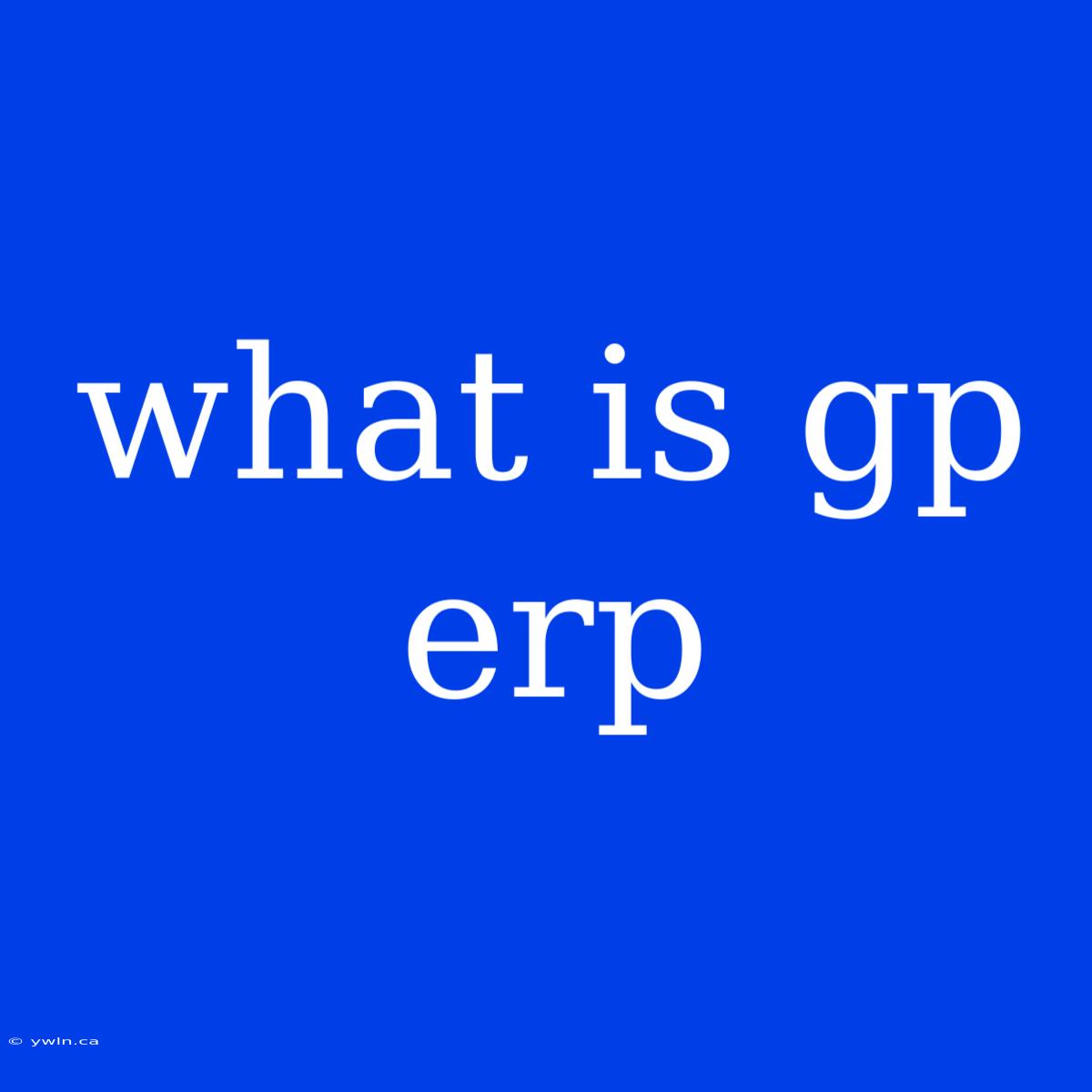 What Is Gp Erp