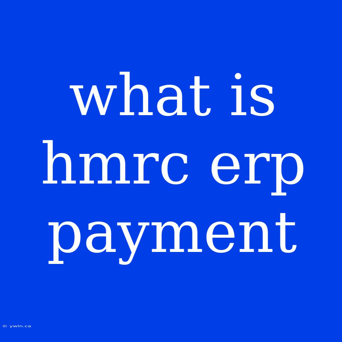 What Is Hmrc Erp Payment