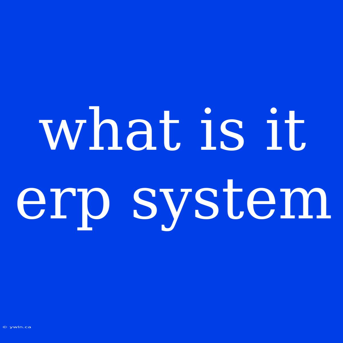 What Is It Erp System