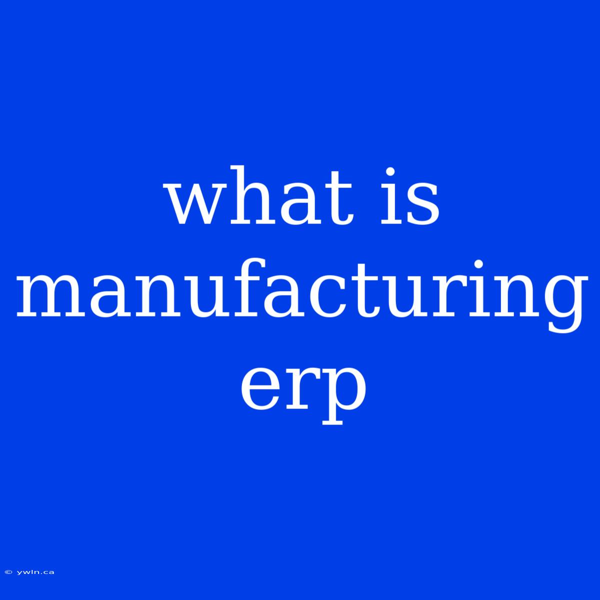 What Is Manufacturing Erp