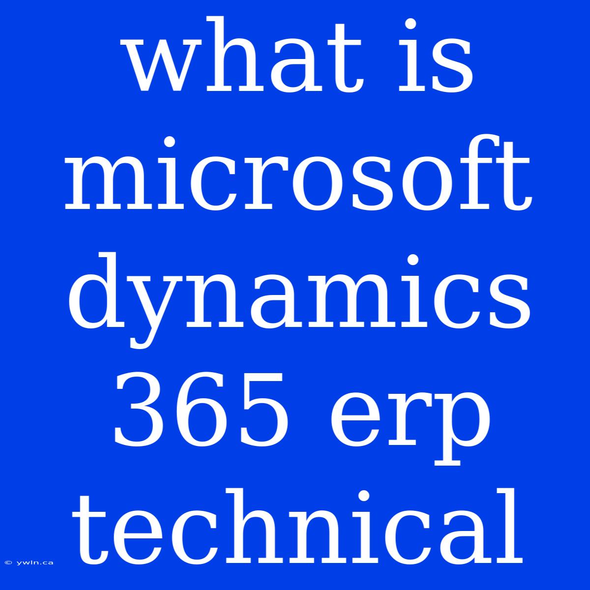 What Is Microsoft Dynamics 365 Erp Technical