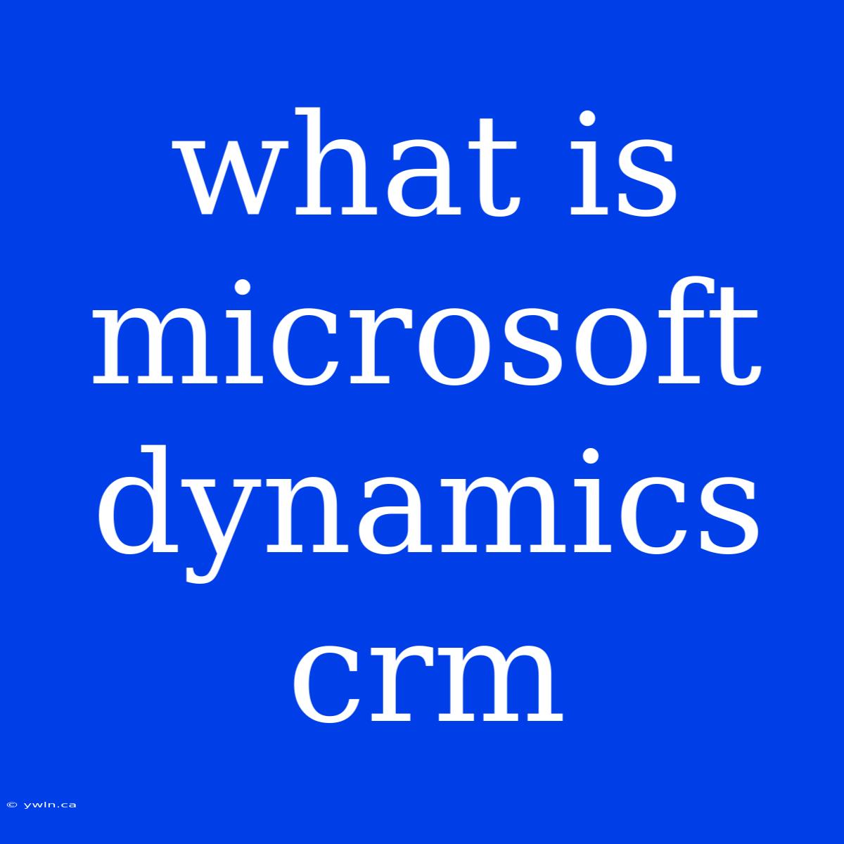 What Is Microsoft Dynamics Crm