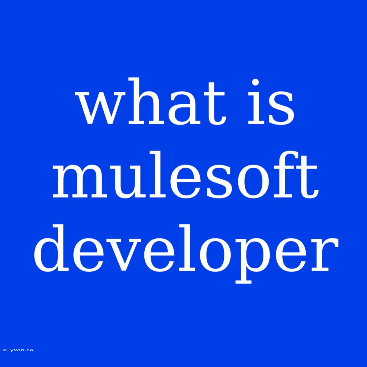 What Is Mulesoft Developer