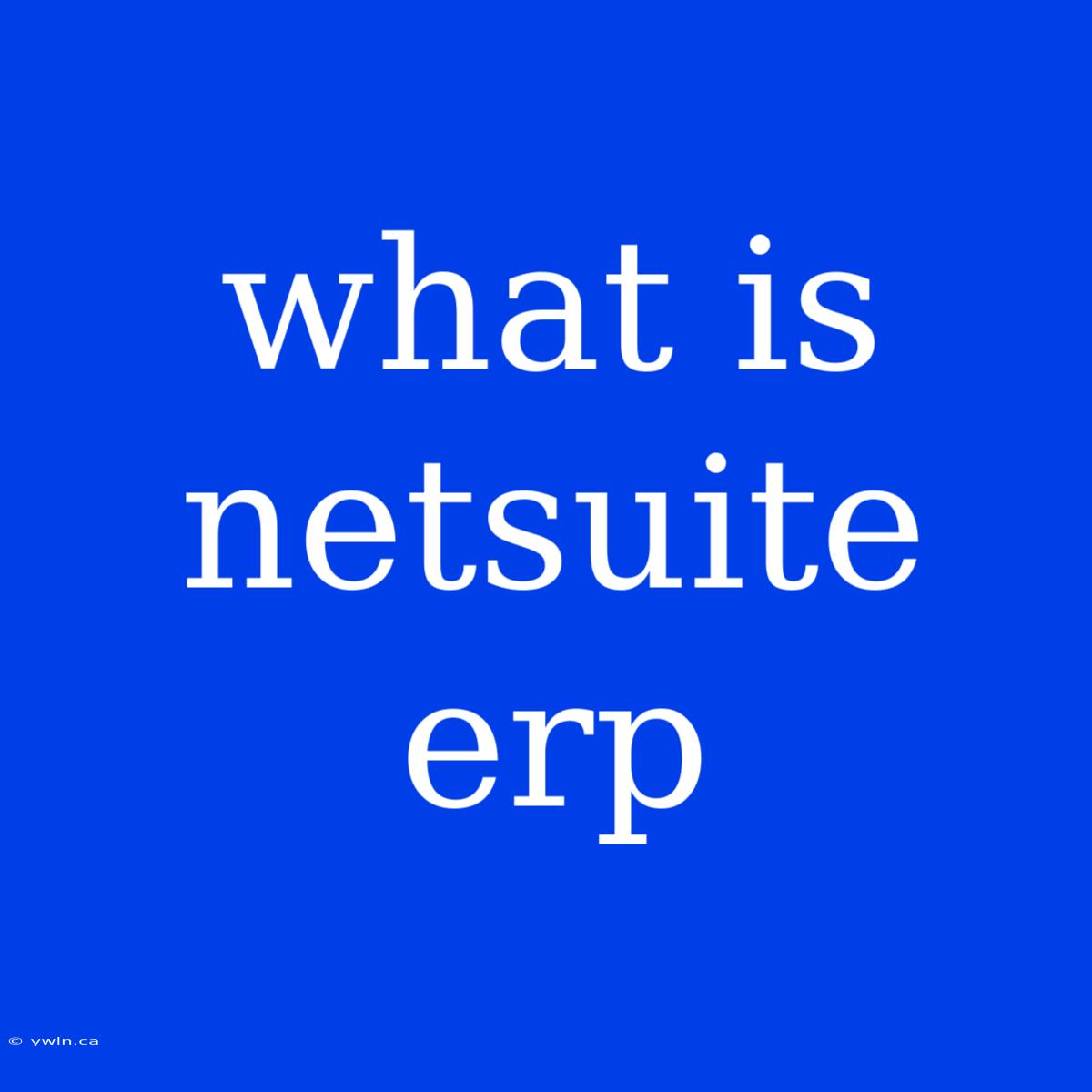 What Is Netsuite Erp