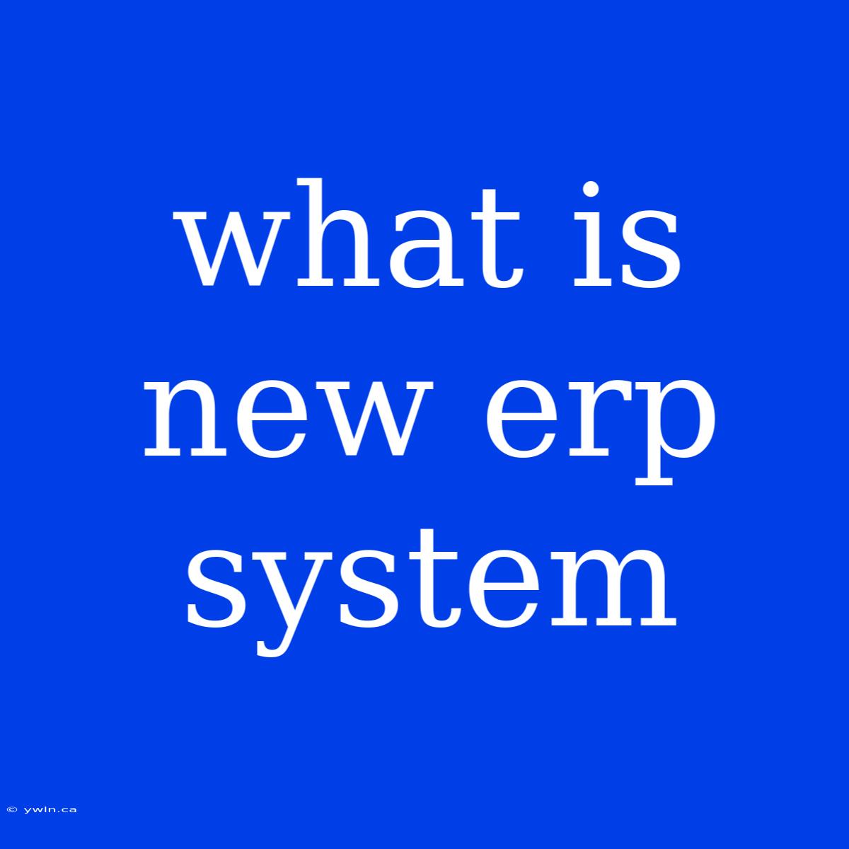 What Is New Erp System