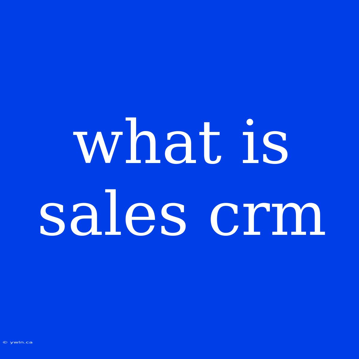 What Is Sales Crm