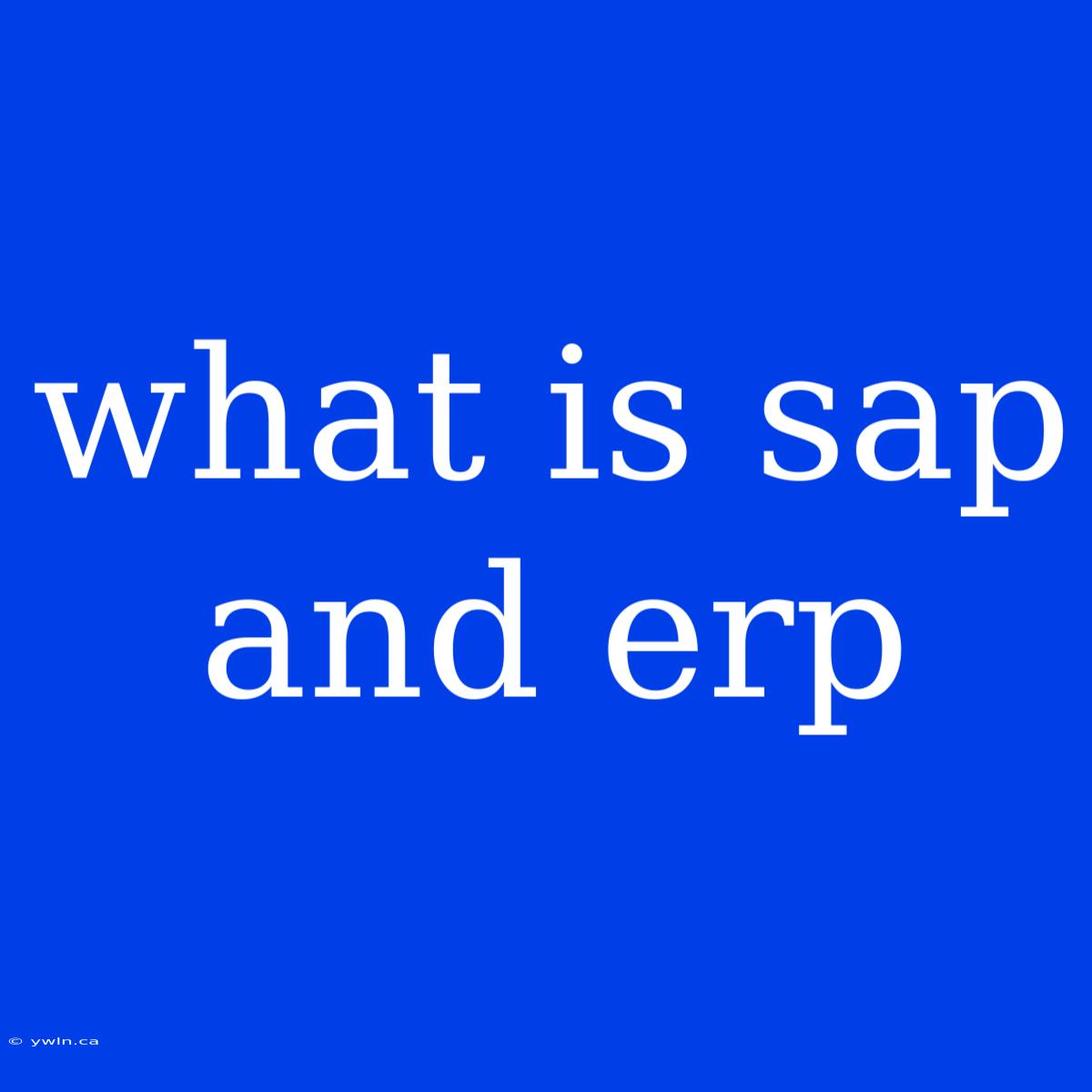 What Is Sap And Erp