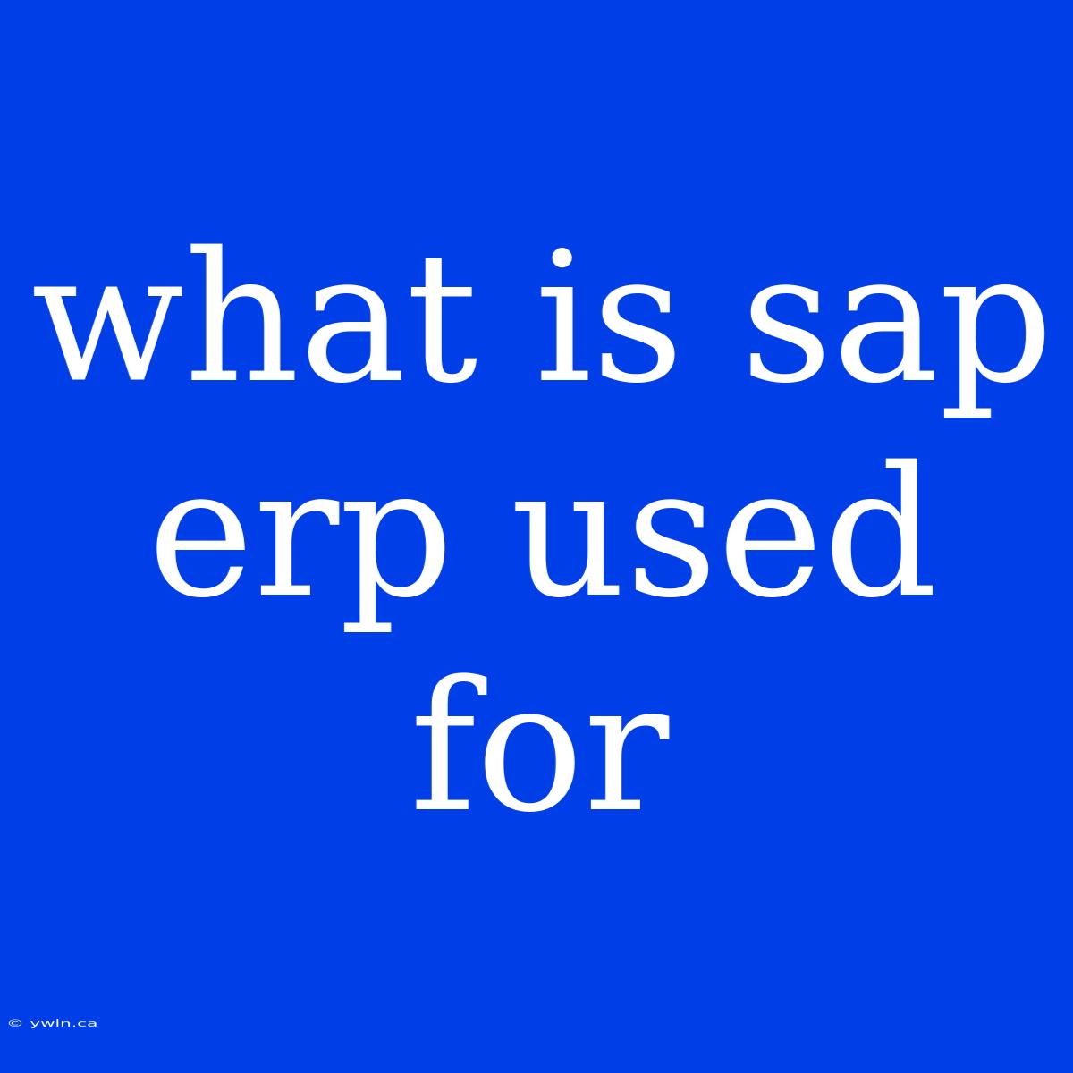 What Is Sap Erp Used For