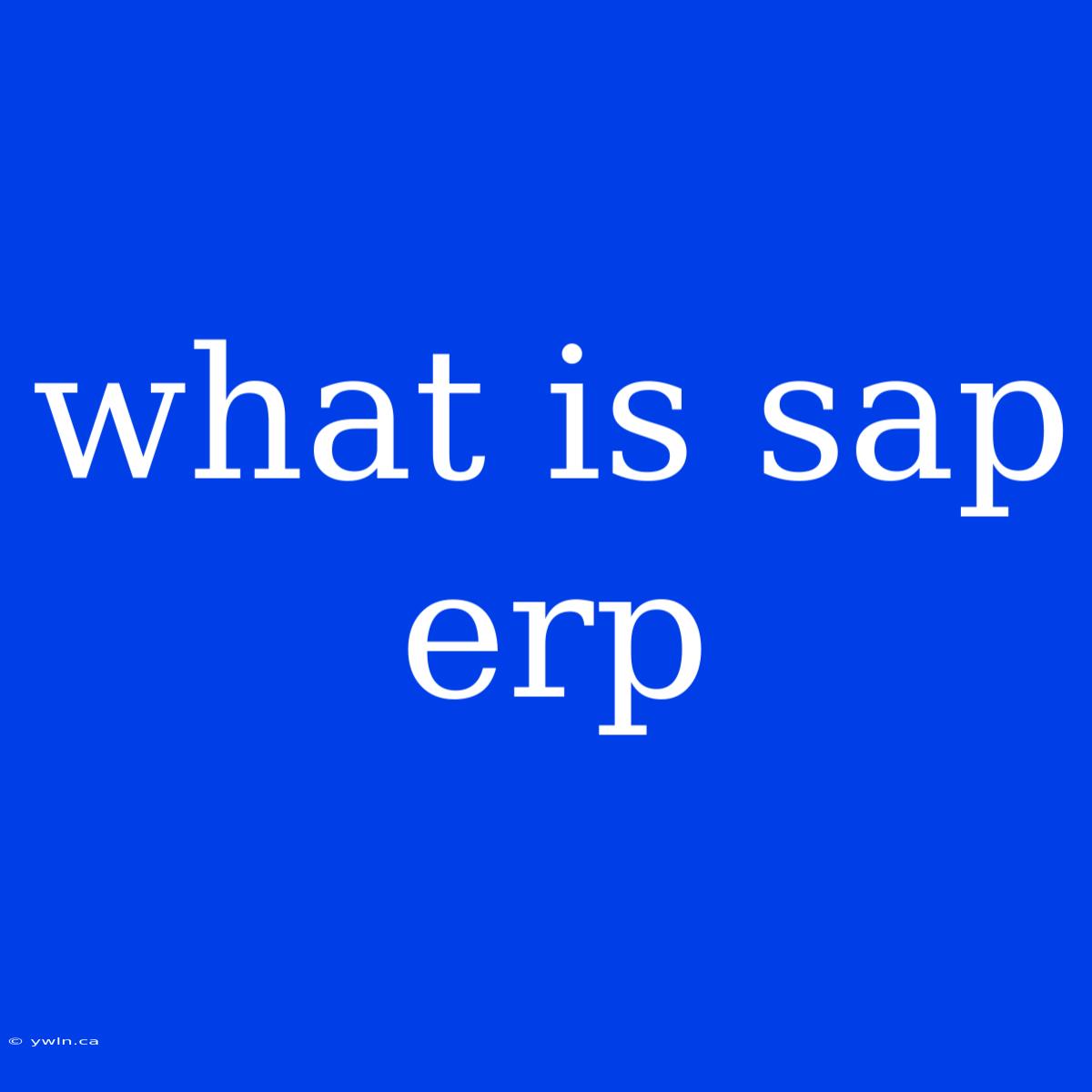 What Is Sap Erp