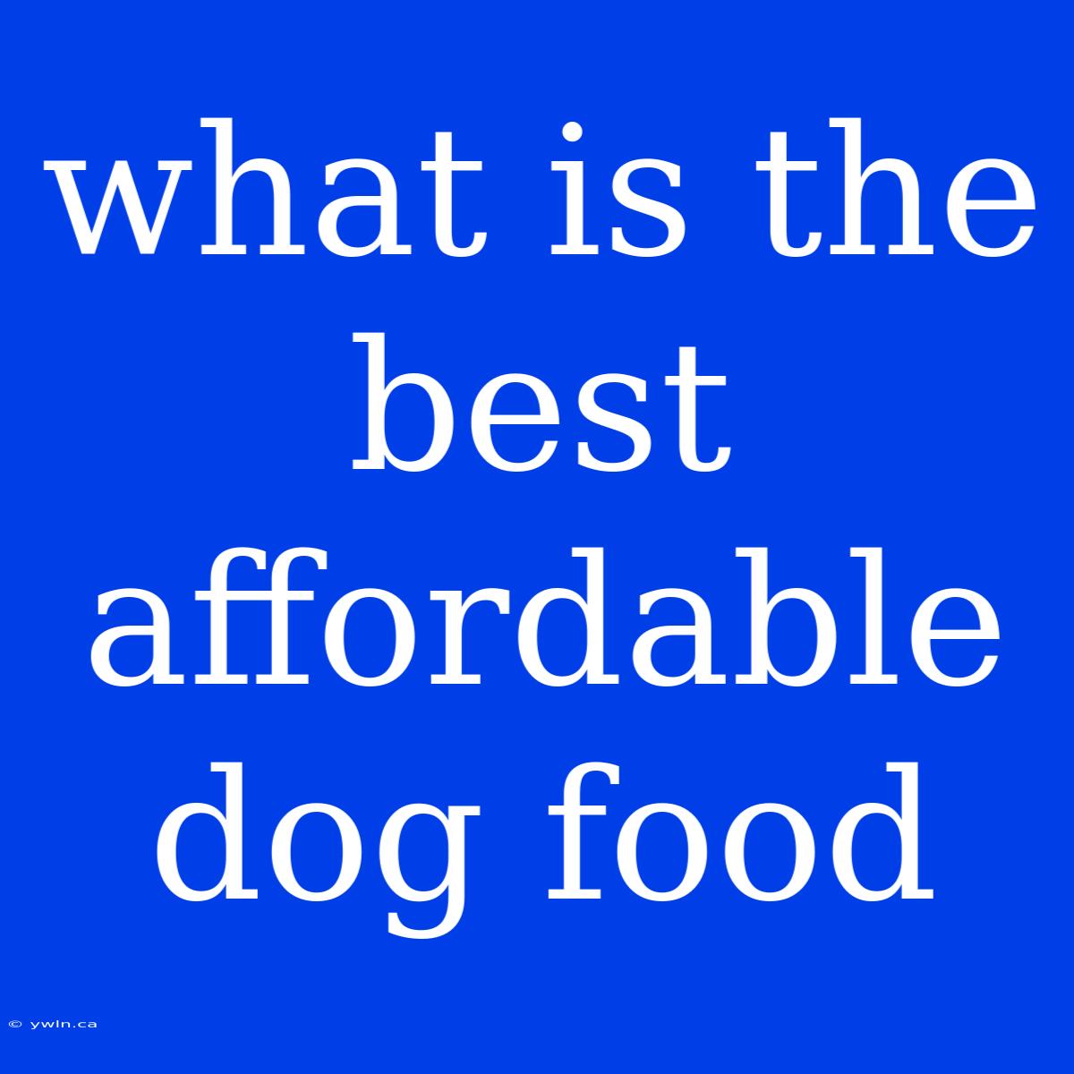 What Is The Best Affordable Dog Food