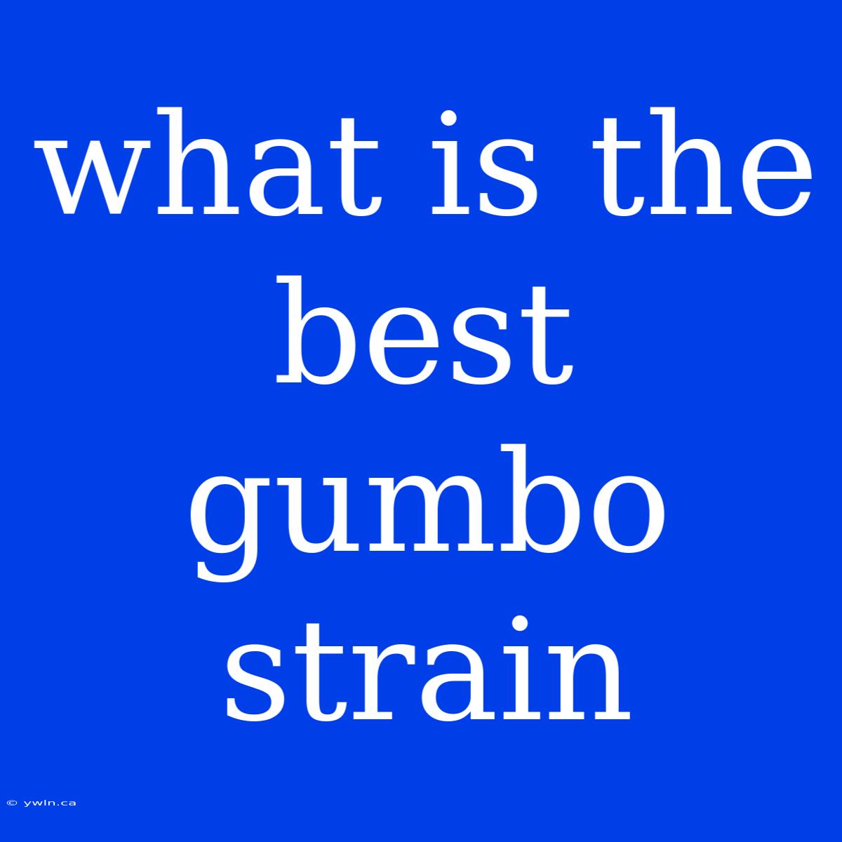 What Is The Best Gumbo Strain