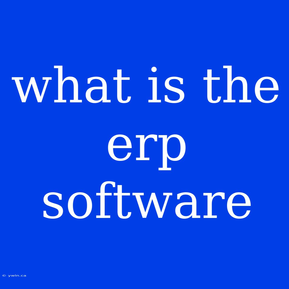 What Is The Erp Software