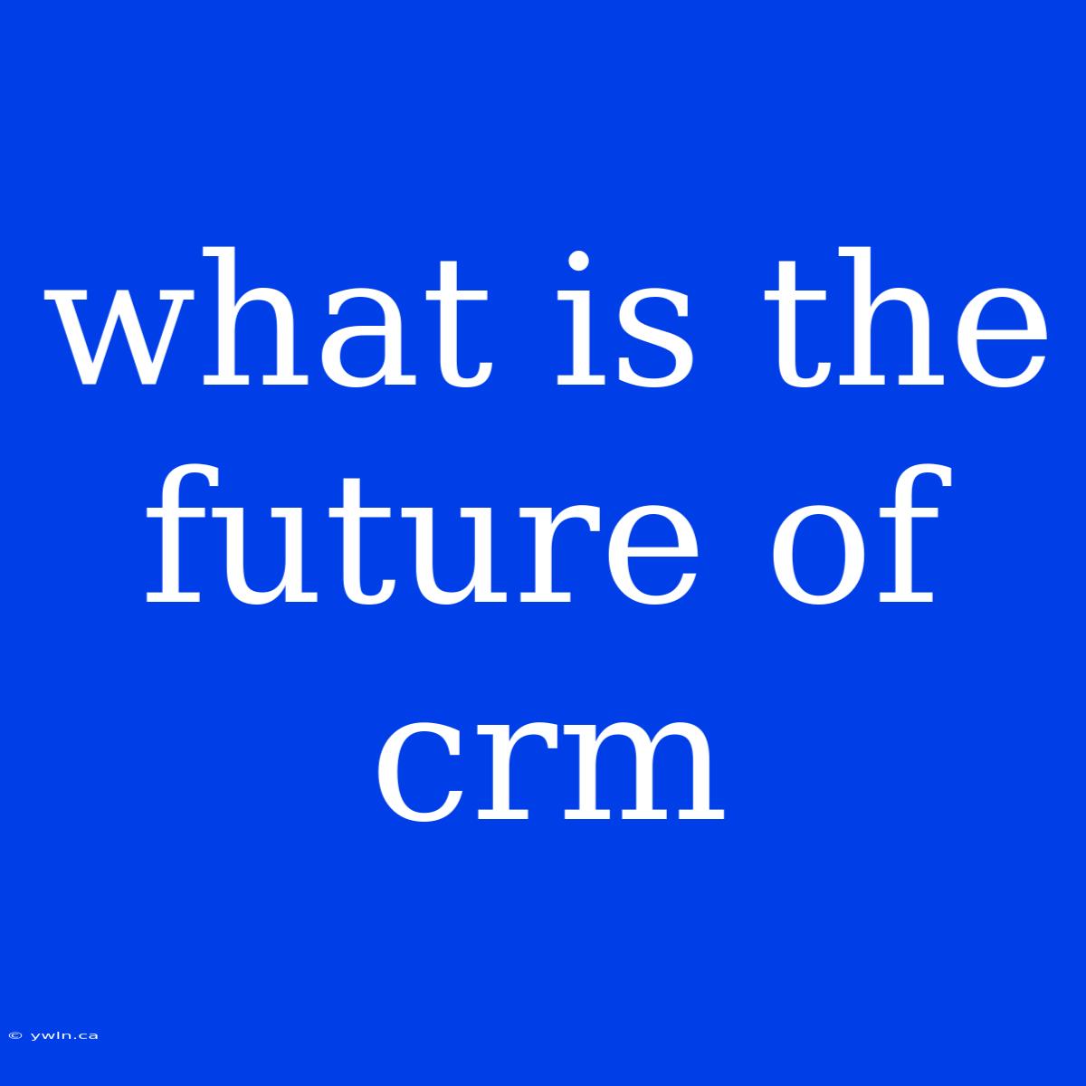 What Is The Future Of Crm