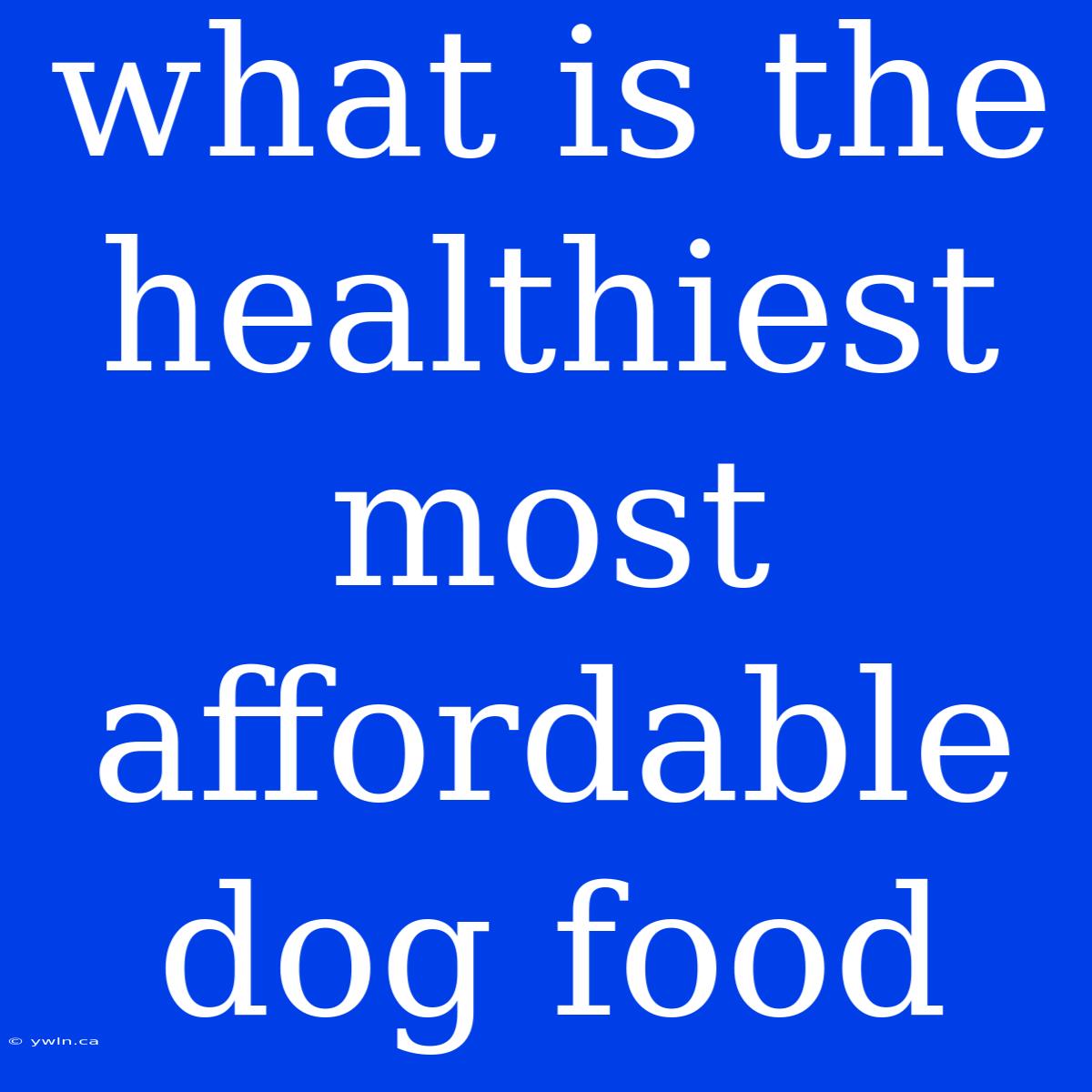 What Is The Healthiest Most Affordable Dog Food