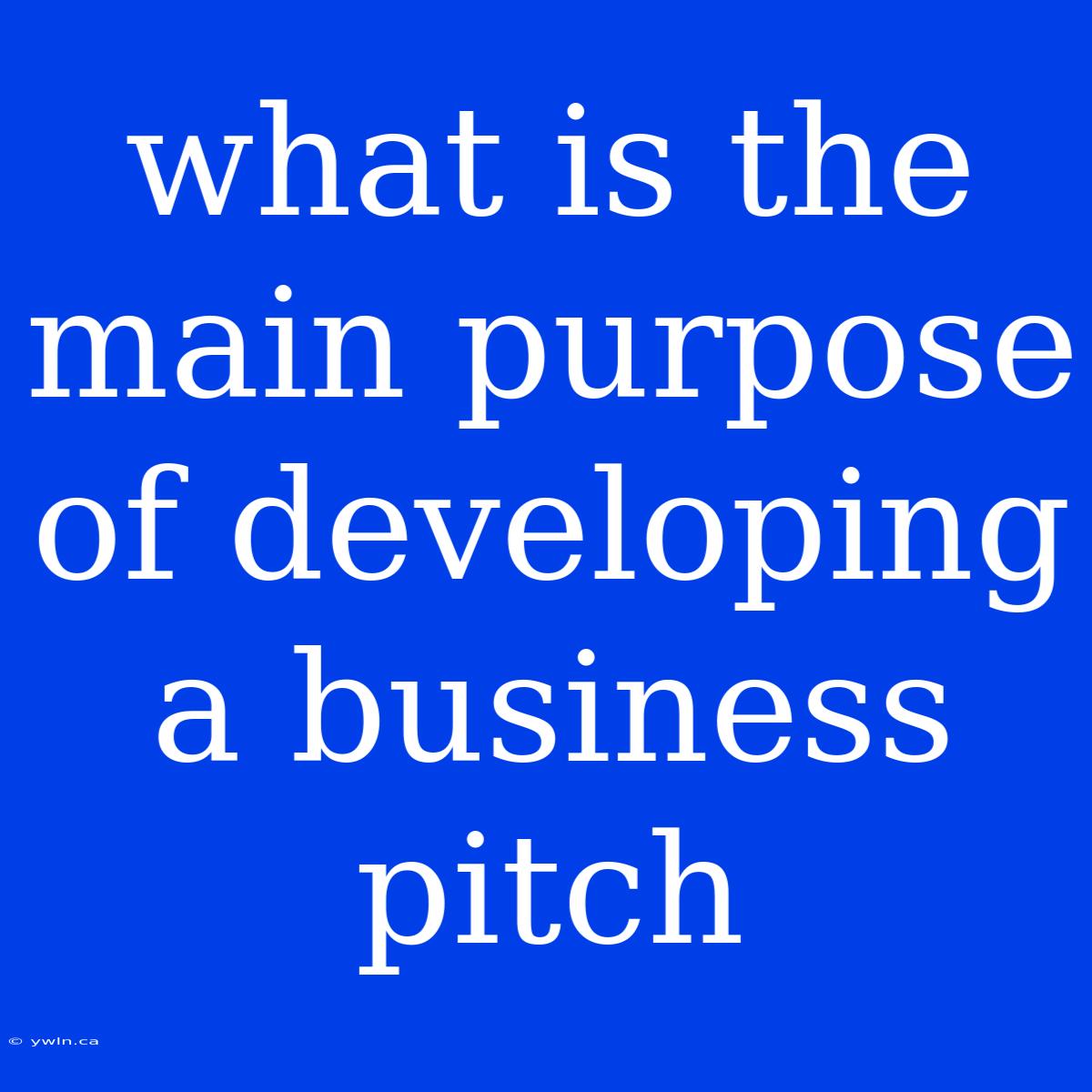 What Is The Main Purpose Of Developing A Business Pitch