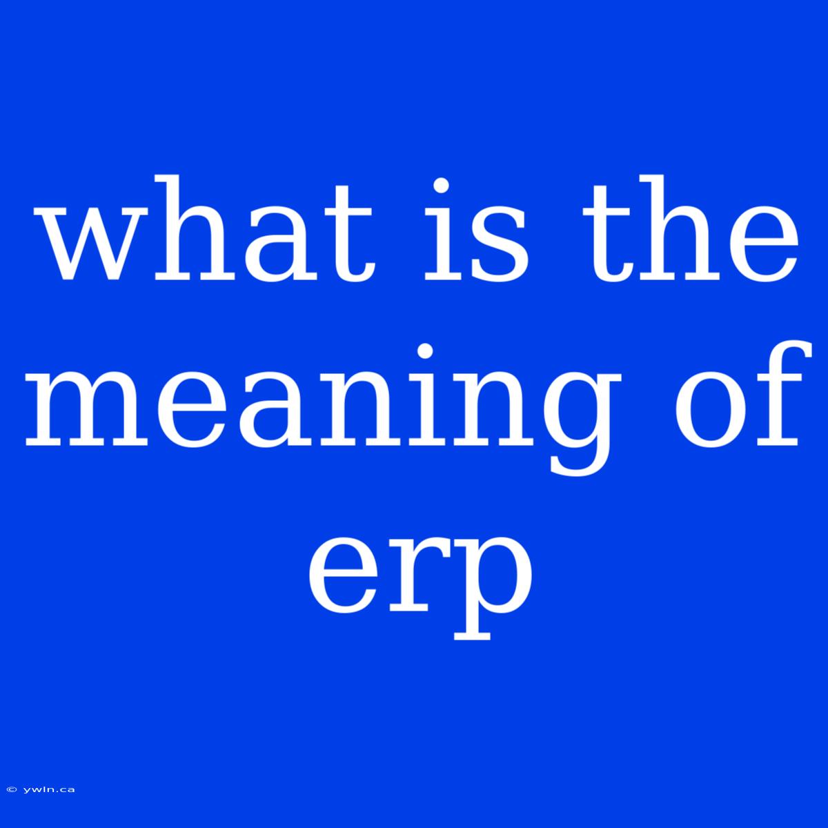 What Is The Meaning Of Erp