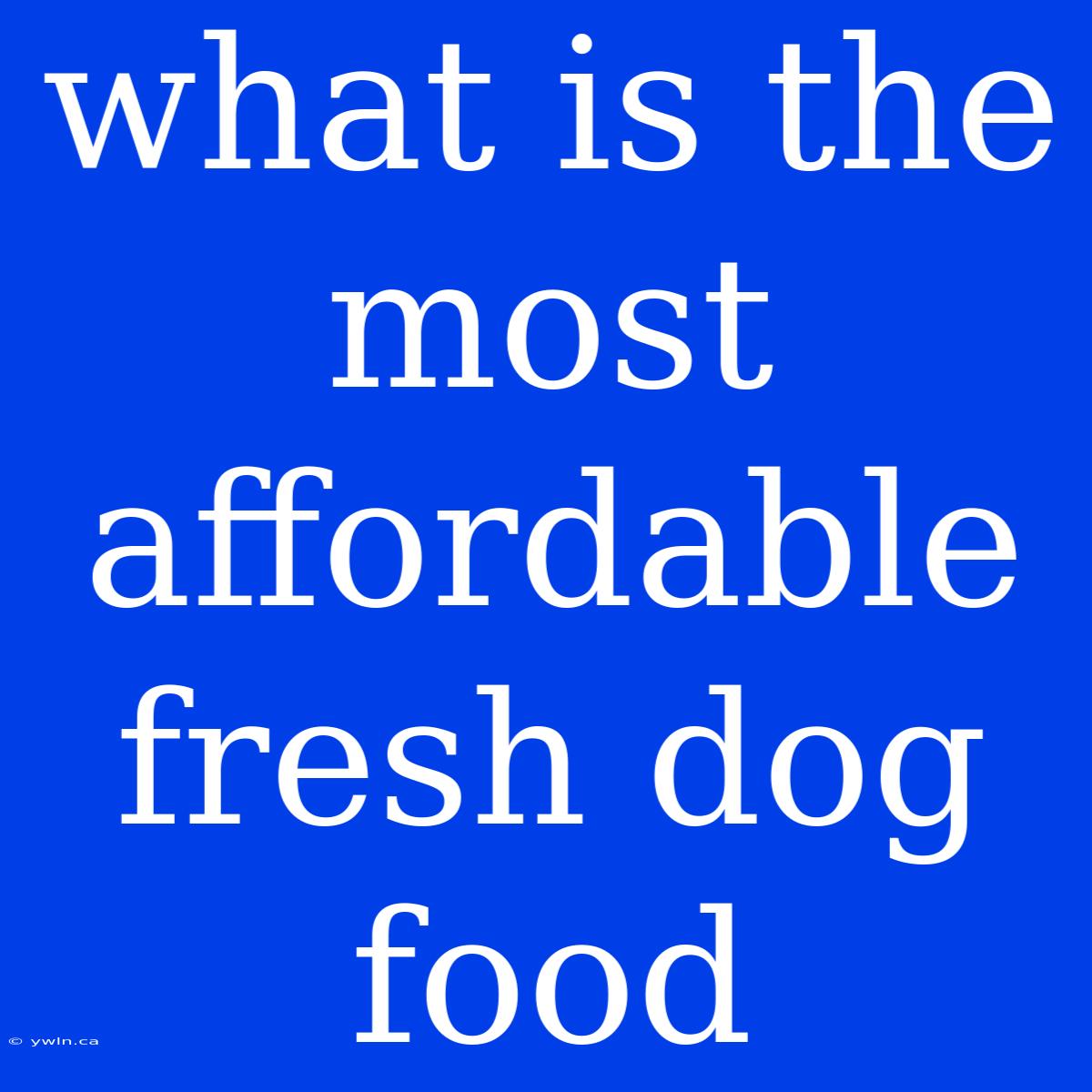 What Is The Most Affordable Fresh Dog Food