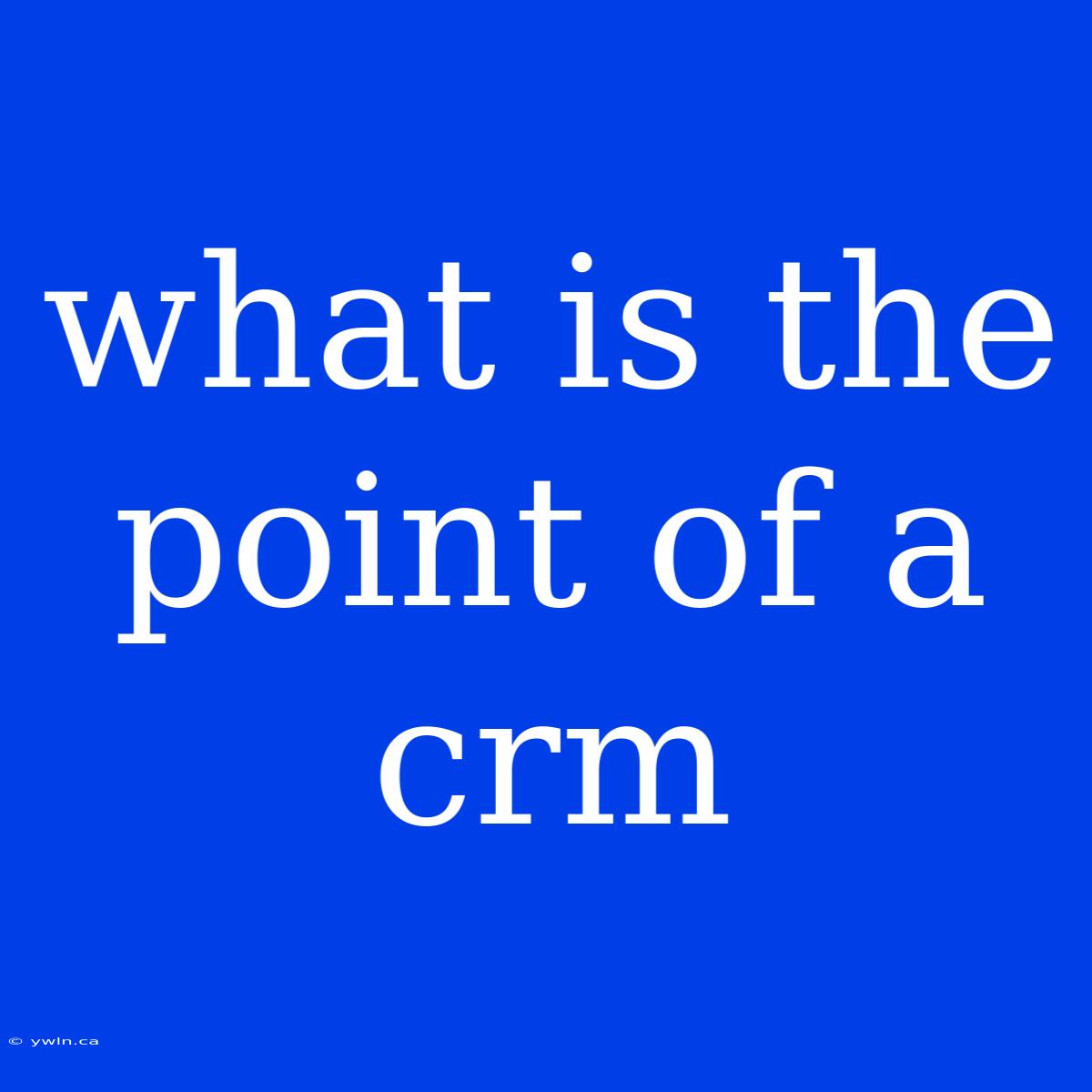 What Is The Point Of A Crm