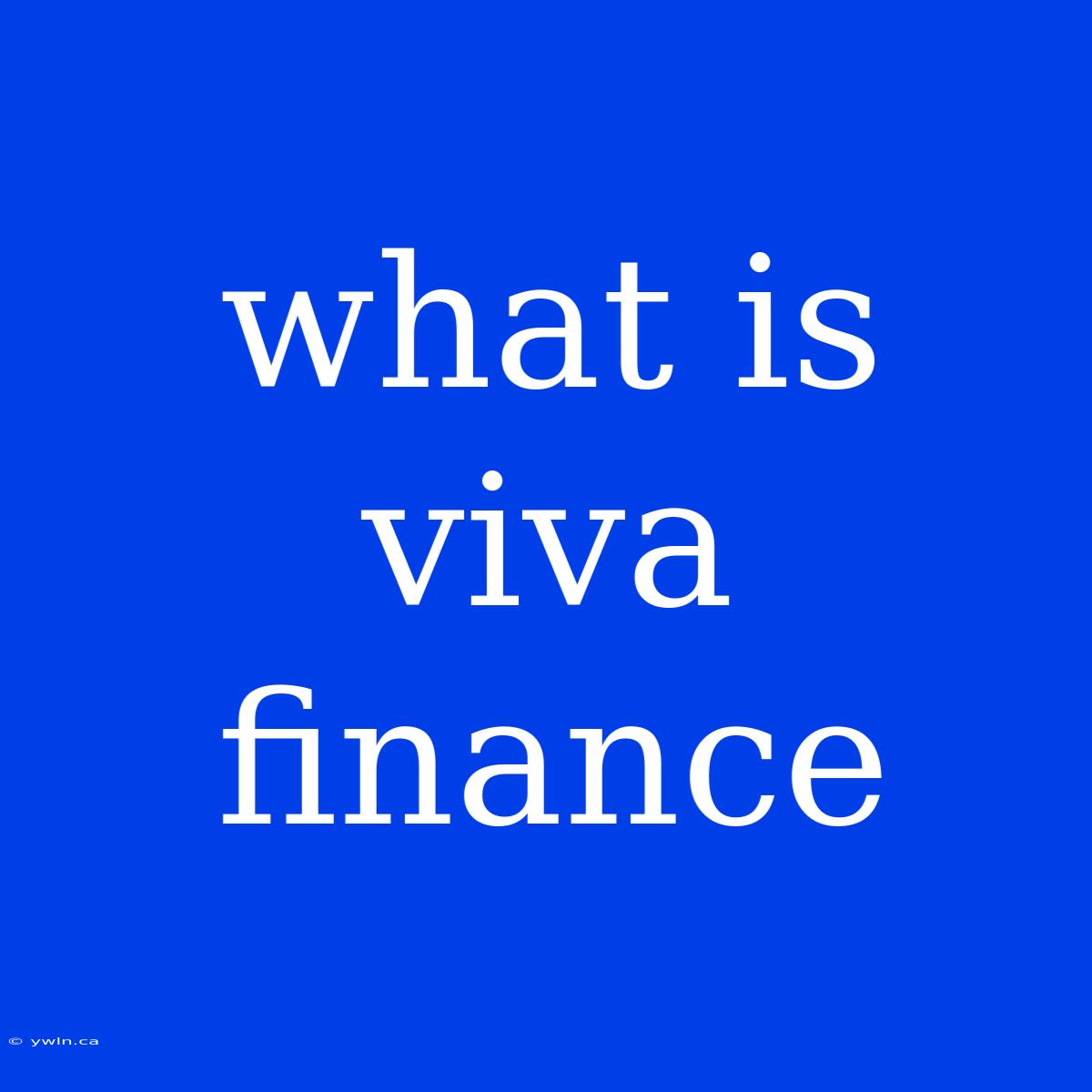 What Is Viva Finance