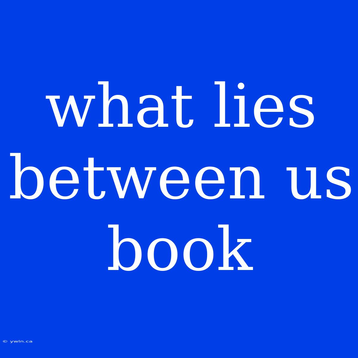 What Lies Between Us Book