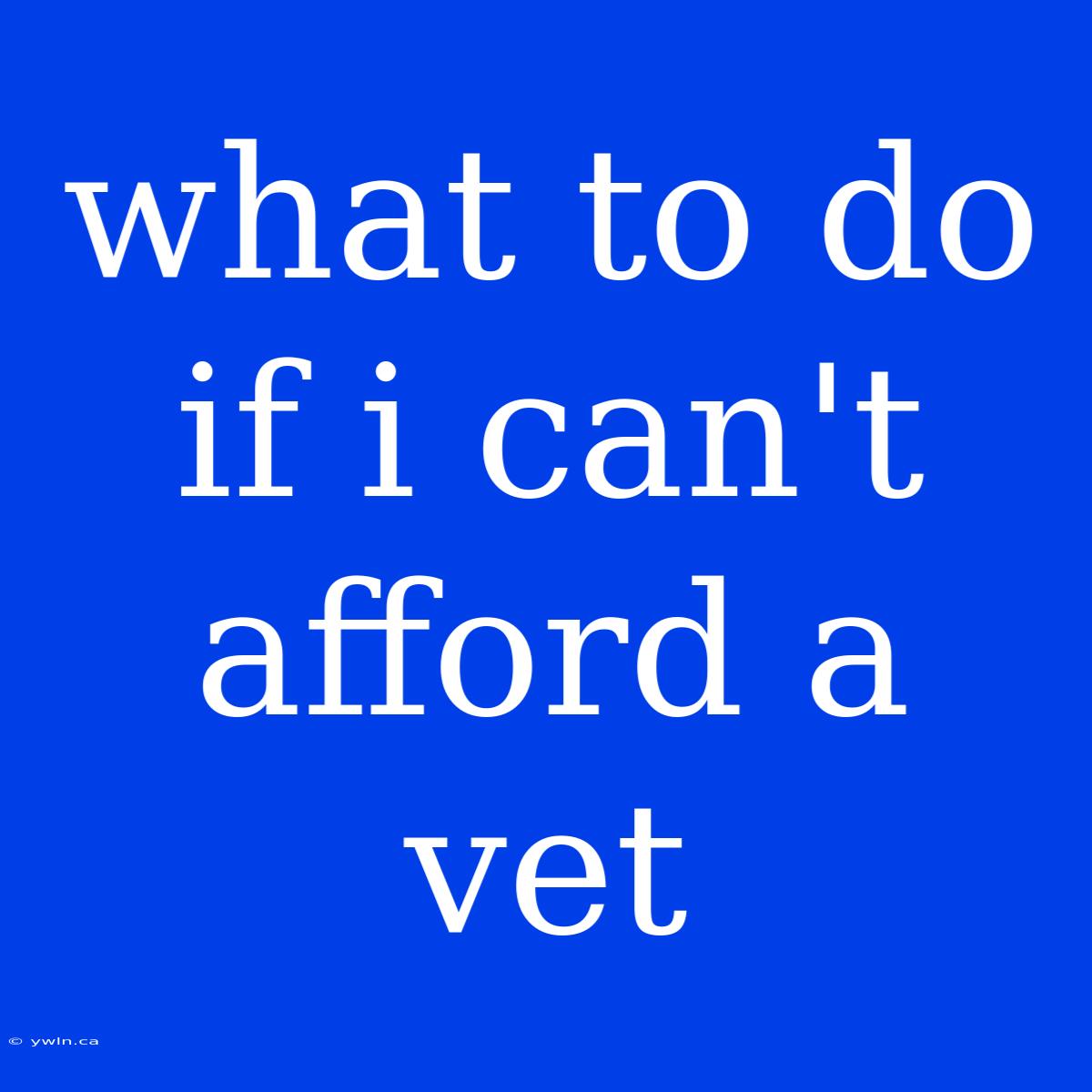 What To Do If I Can't Afford A Vet