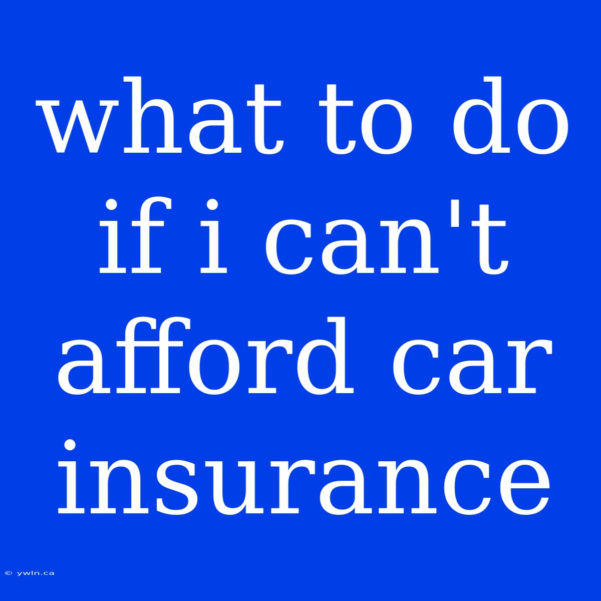 What To Do If I Can't Afford Car Insurance