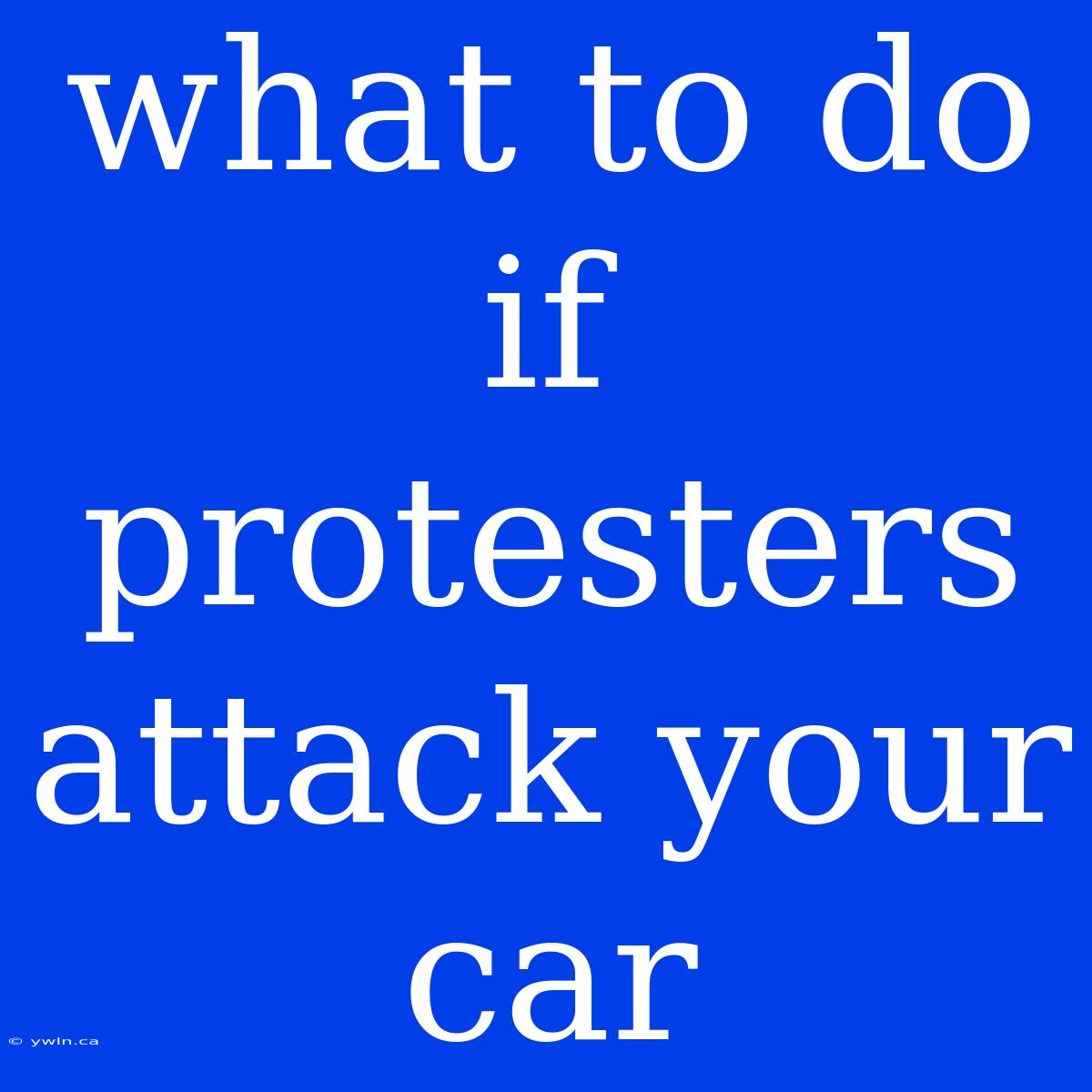 What To Do If Protesters Attack Your Car