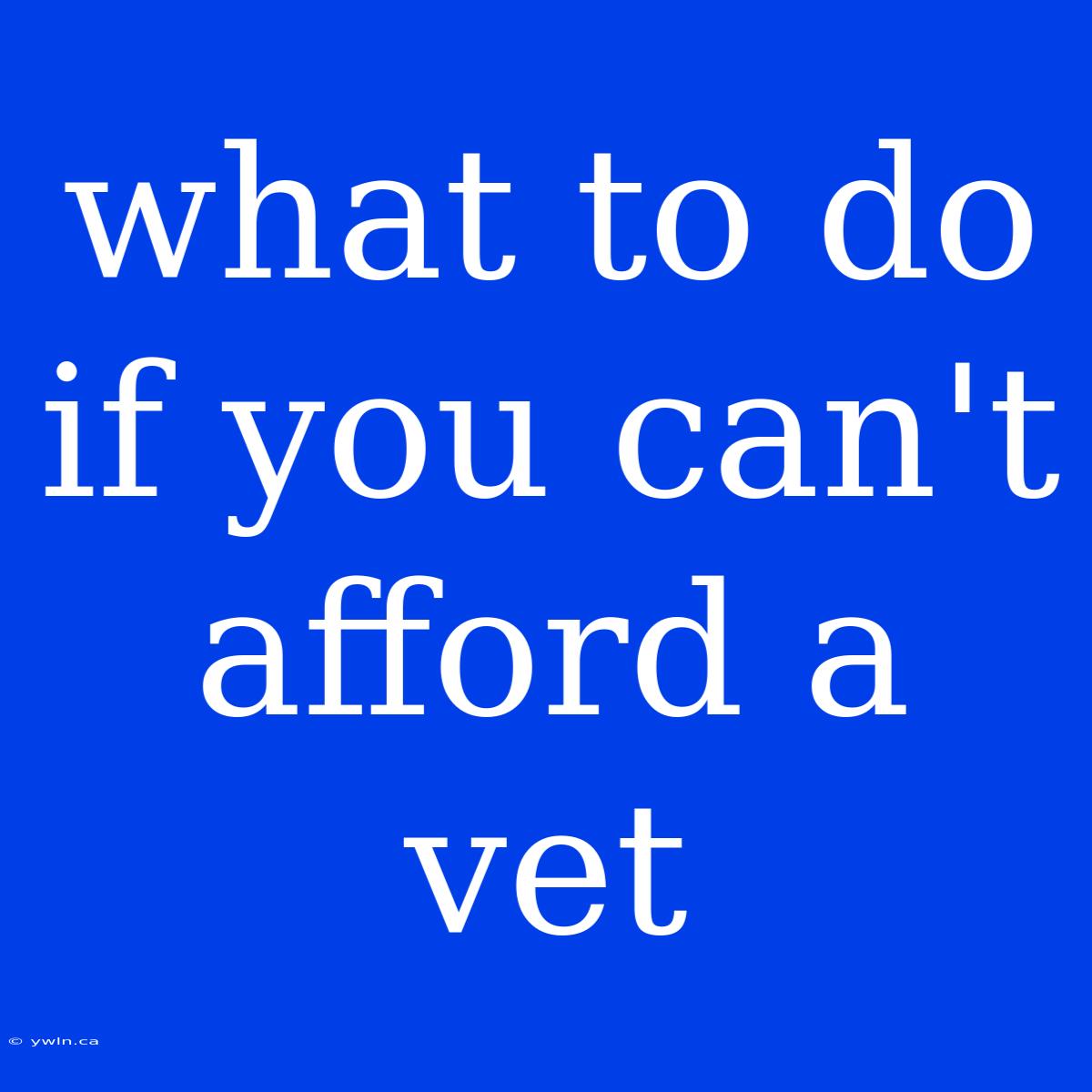 What To Do If You Can't Afford A Vet