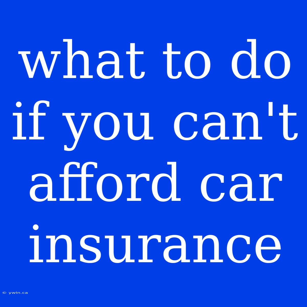 What To Do If You Can't Afford Car Insurance