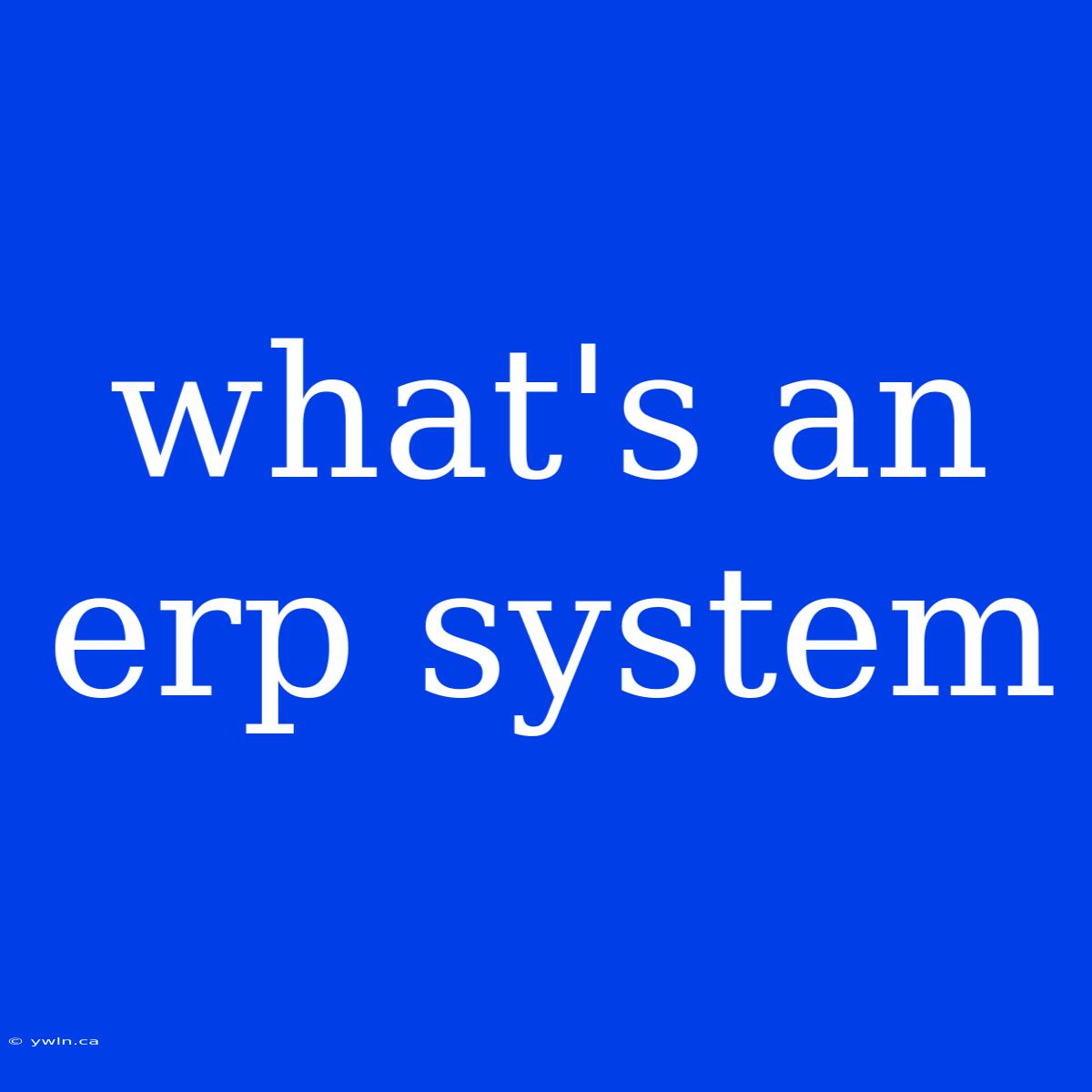 What's An Erp System