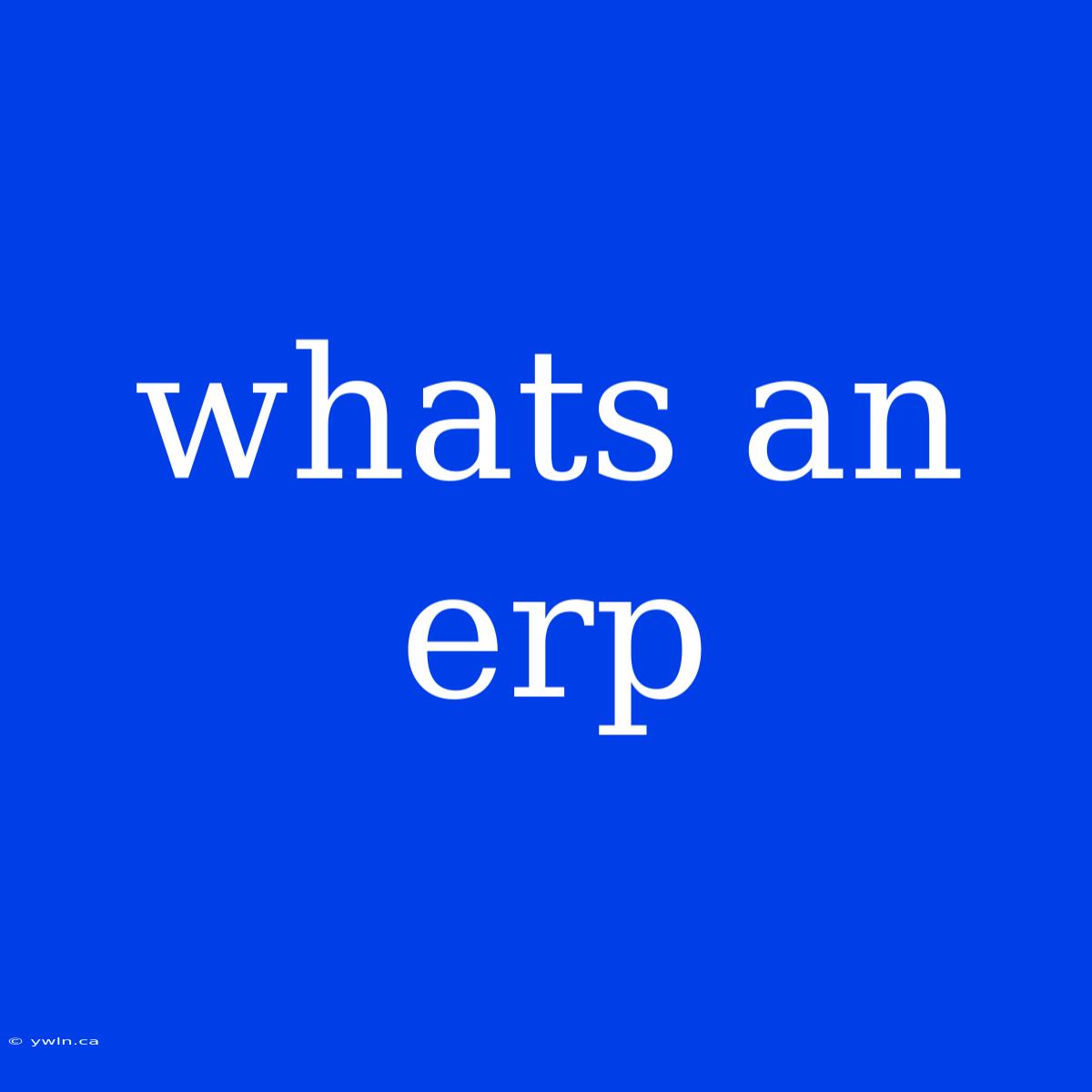 Whats An Erp