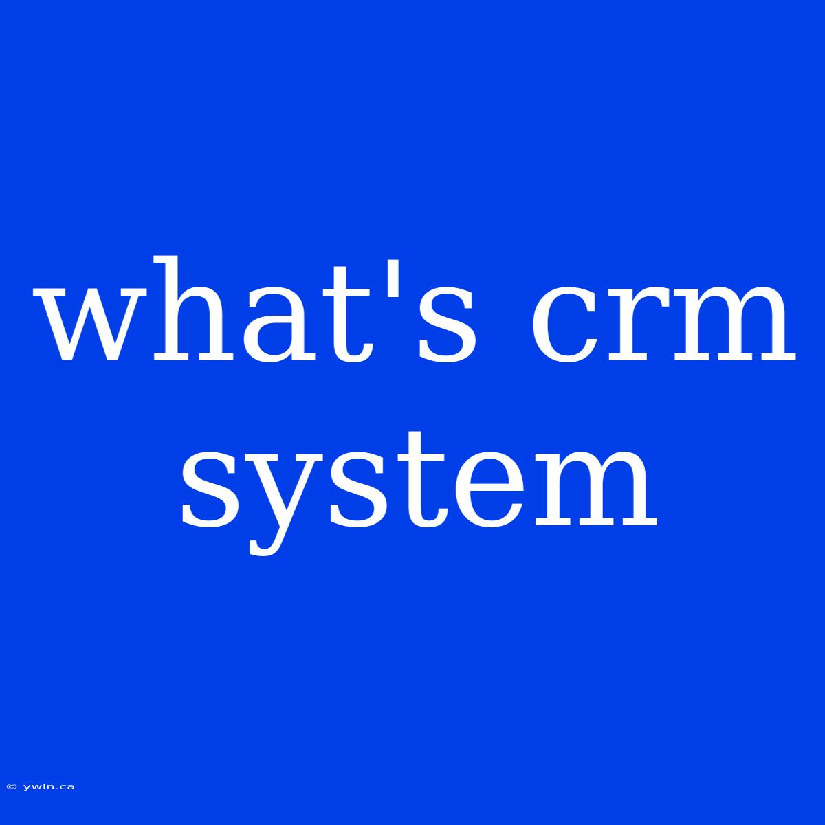 What's Crm System