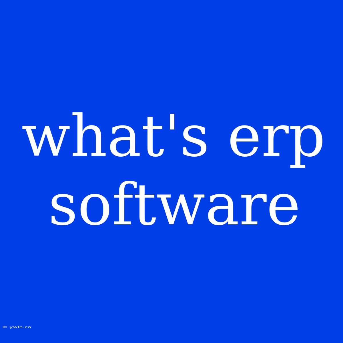 What's Erp Software