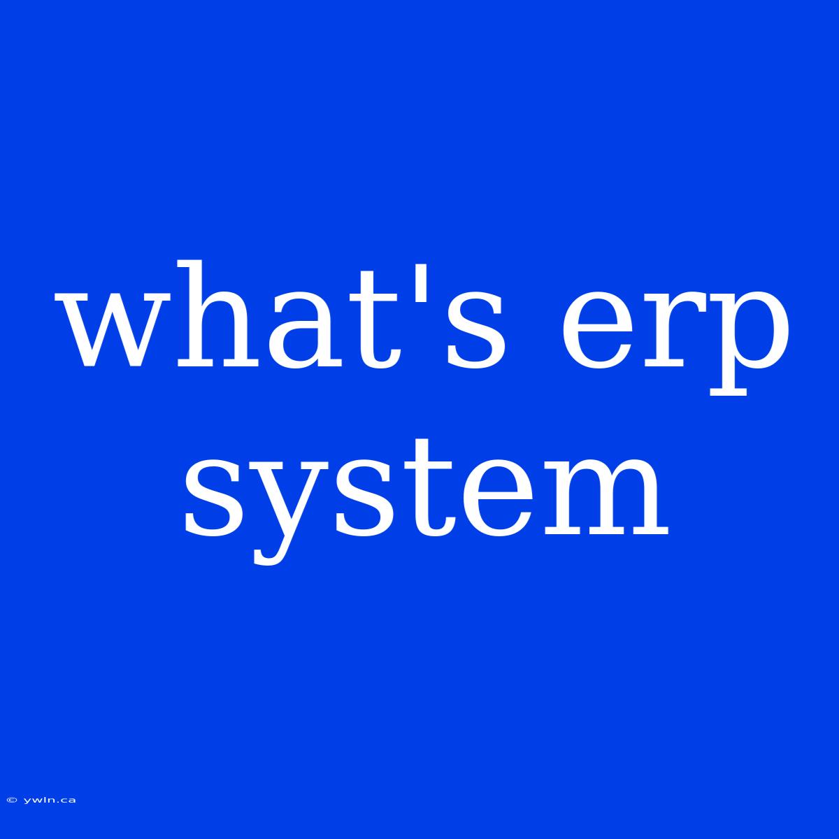 What's Erp System