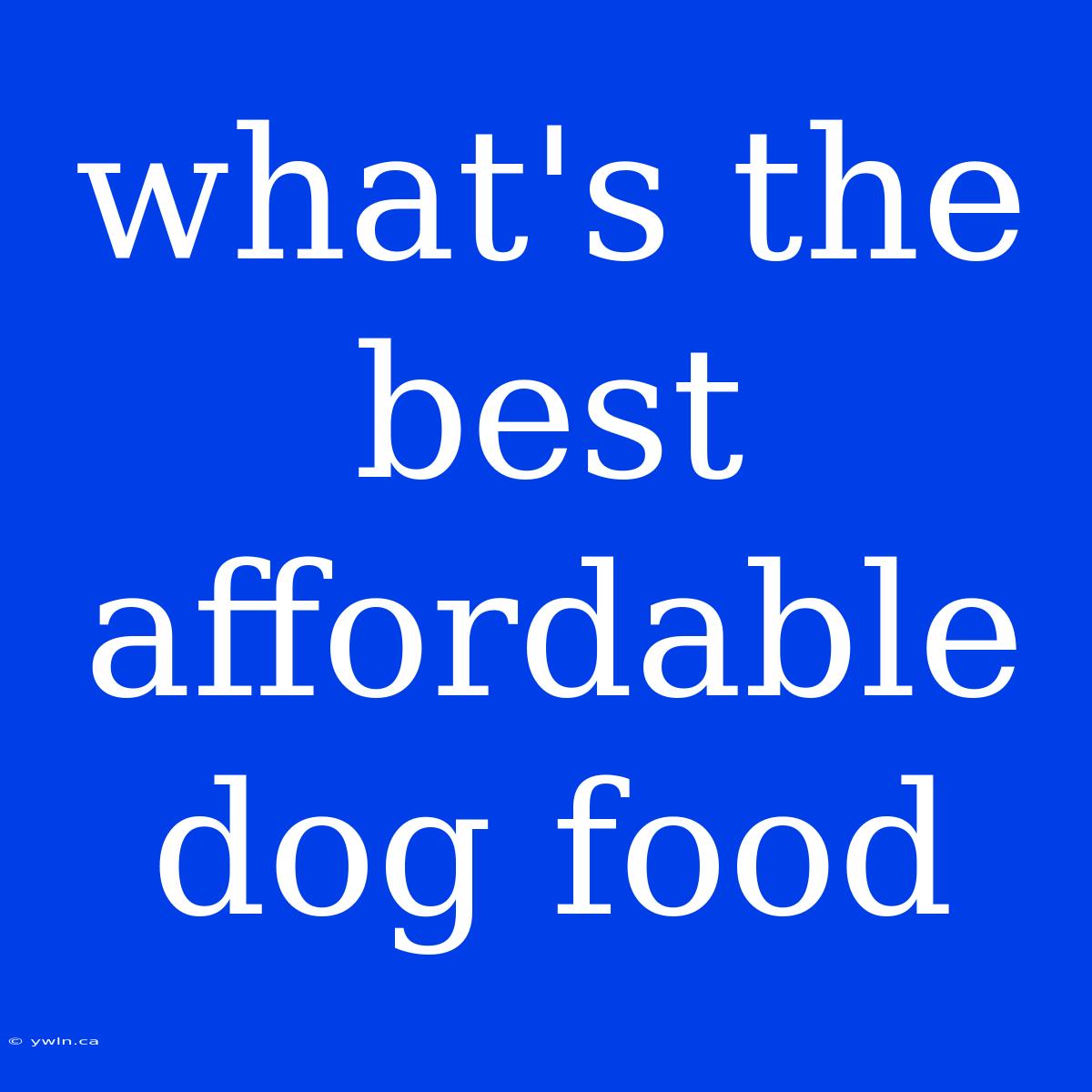 What's The Best Affordable Dog Food