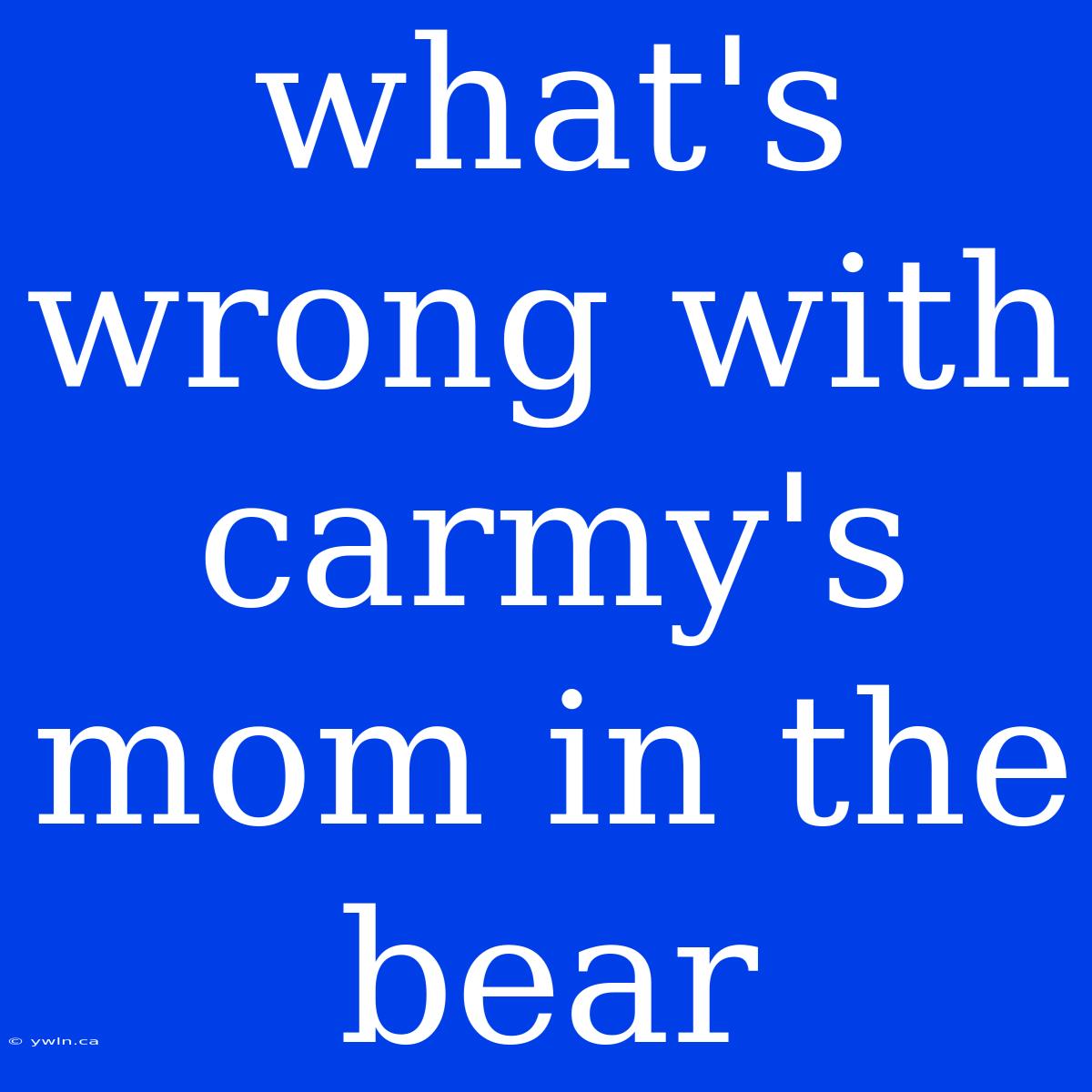 What's Wrong With Carmy's Mom In The Bear