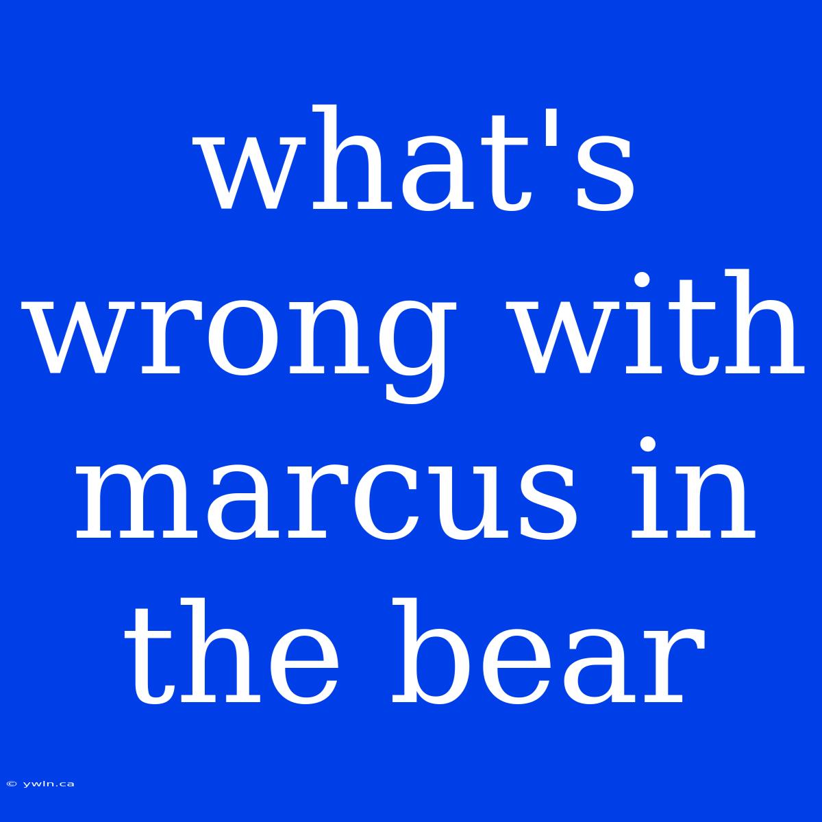 What's Wrong With Marcus In The Bear