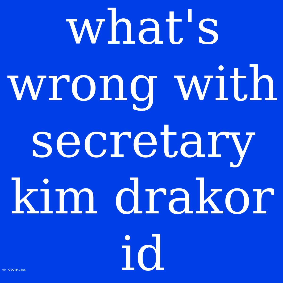 What's Wrong With Secretary Kim Drakor Id