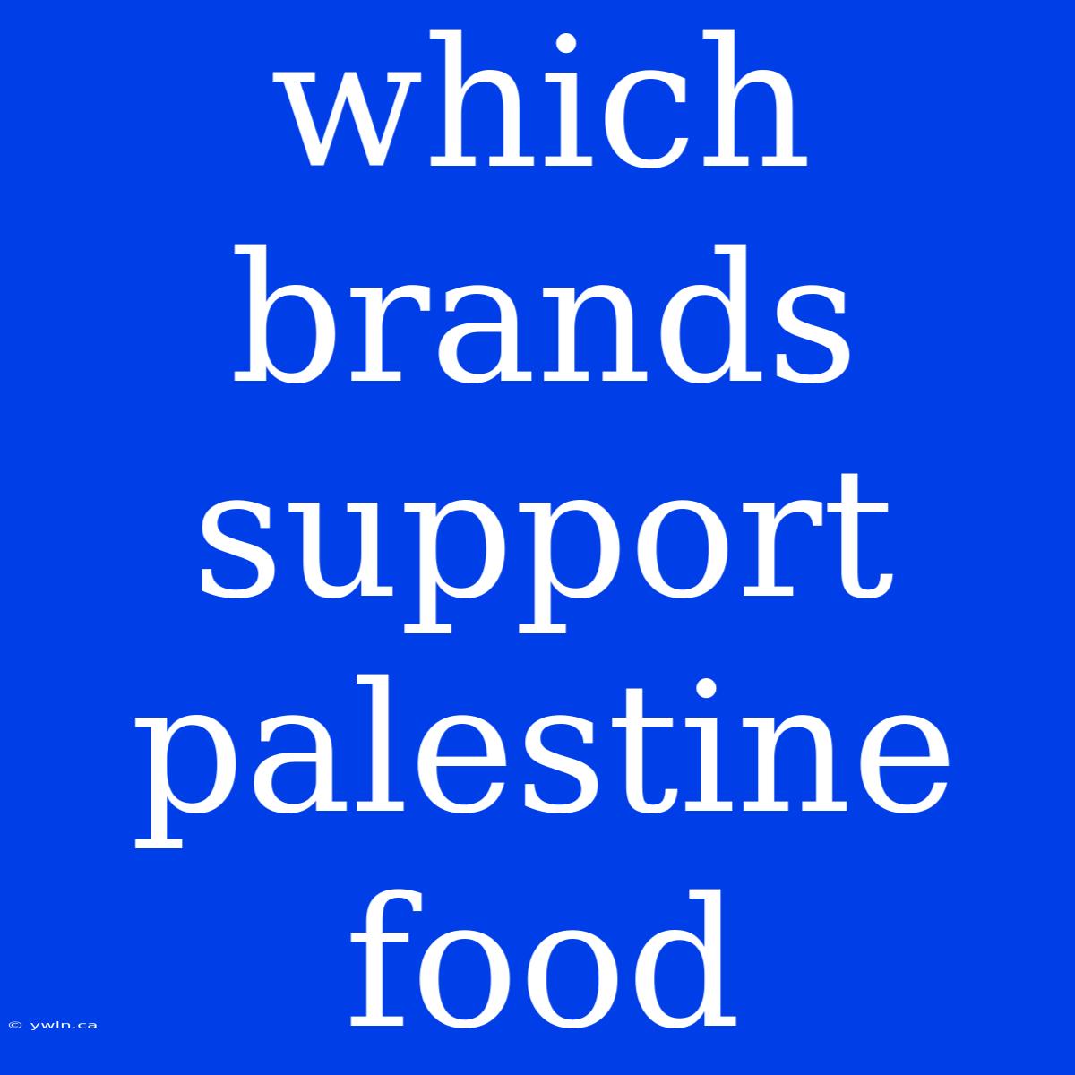 Which Brands Support Palestine Food