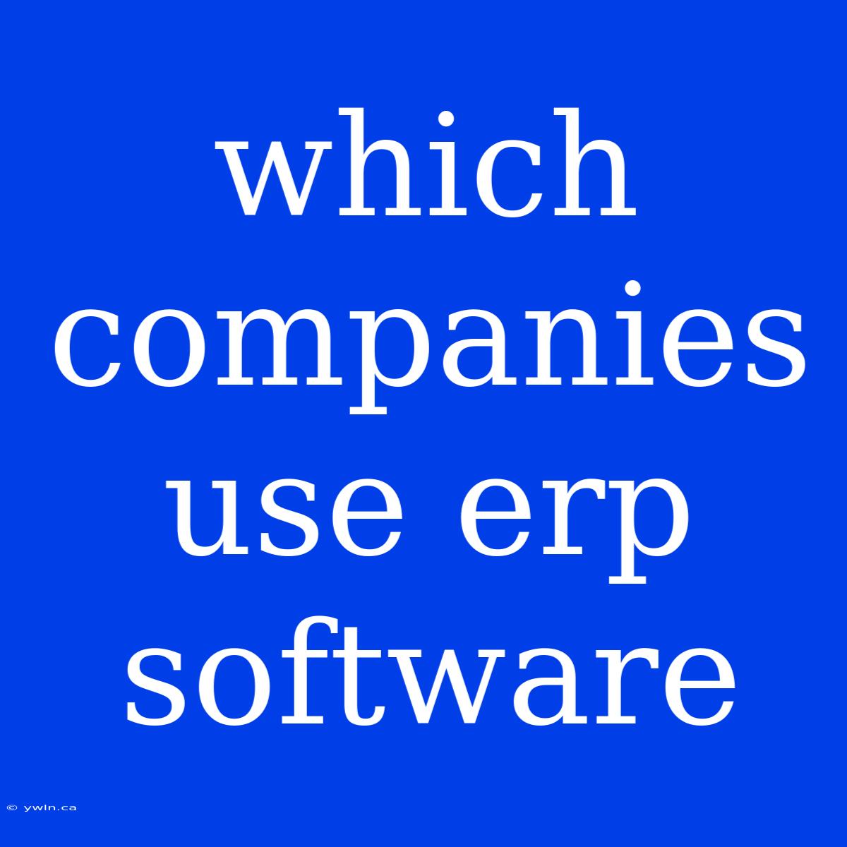 Which Companies Use Erp Software