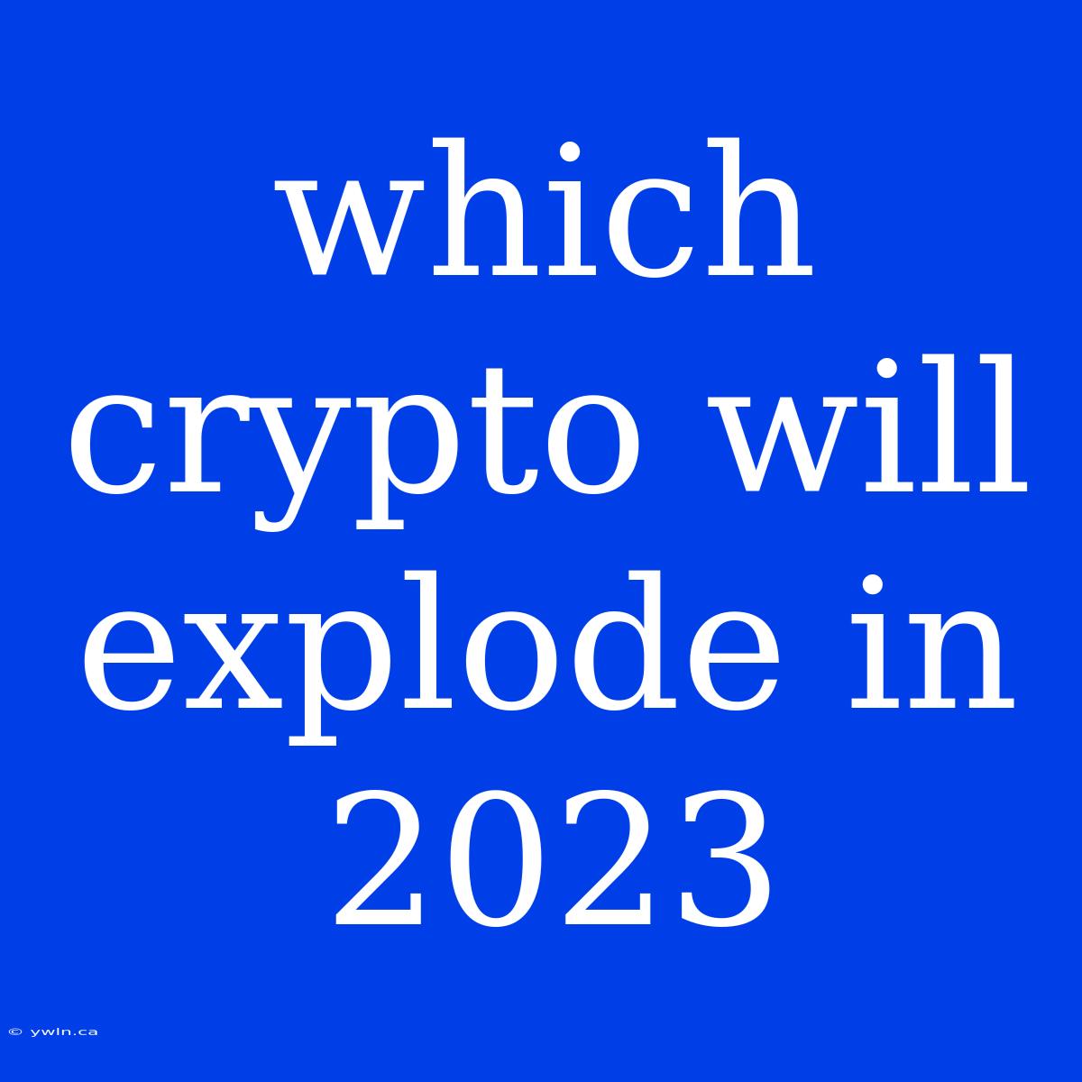 Which Crypto Will Explode In 2023