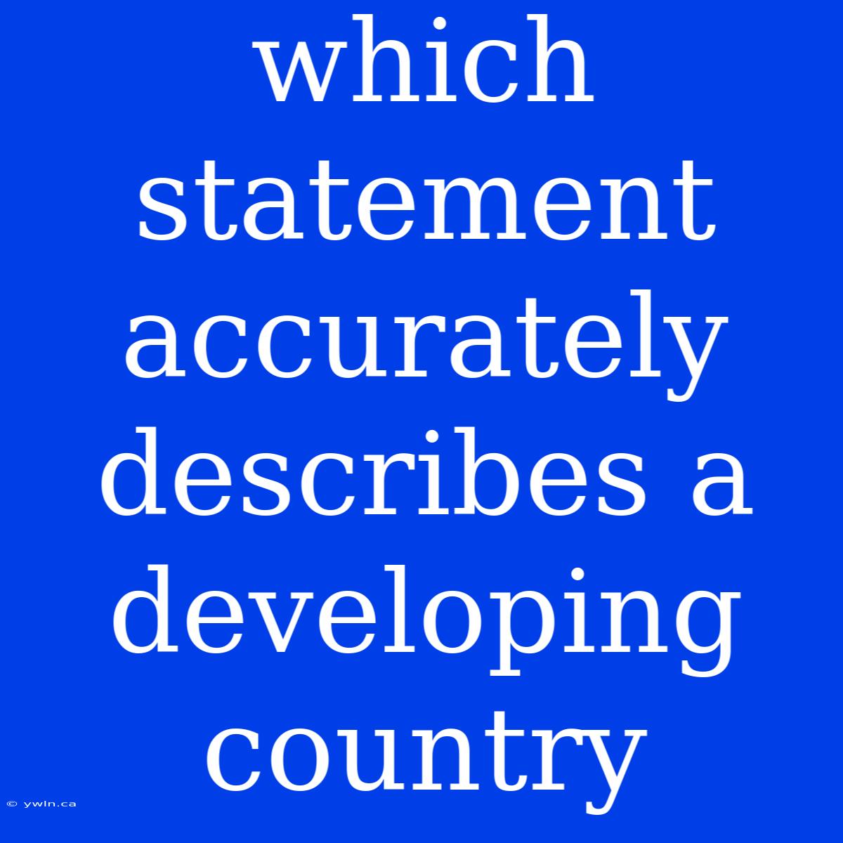 Which Statement Accurately Describes A Developing Country