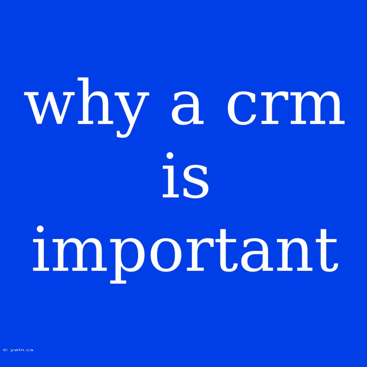 Why A Crm Is Important