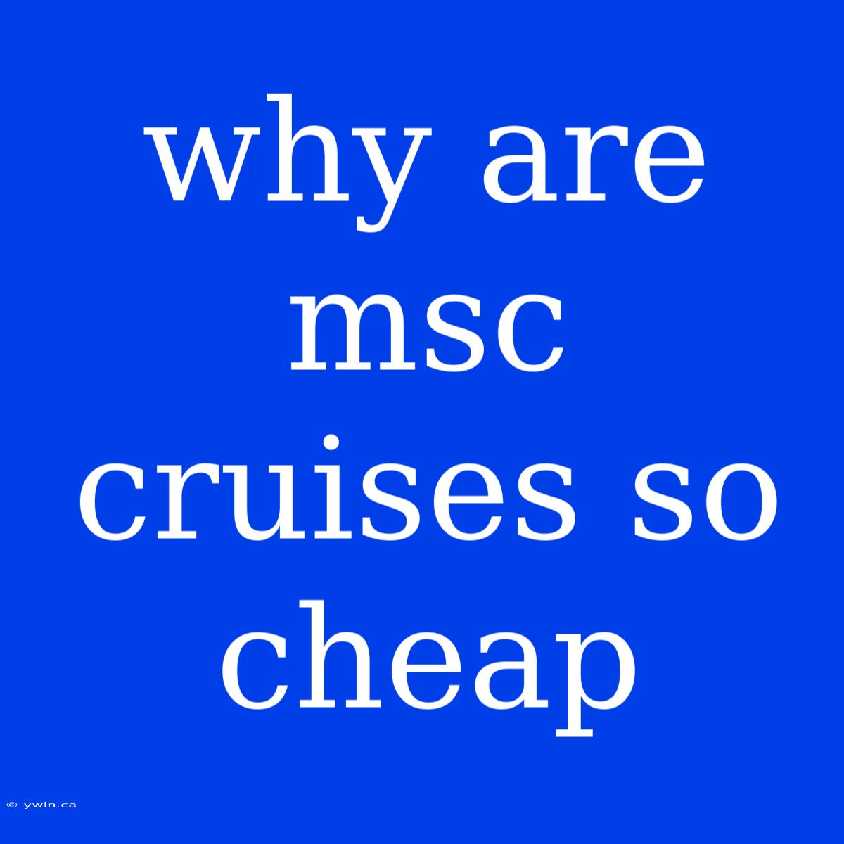 Why Are Msc Cruises So Cheap